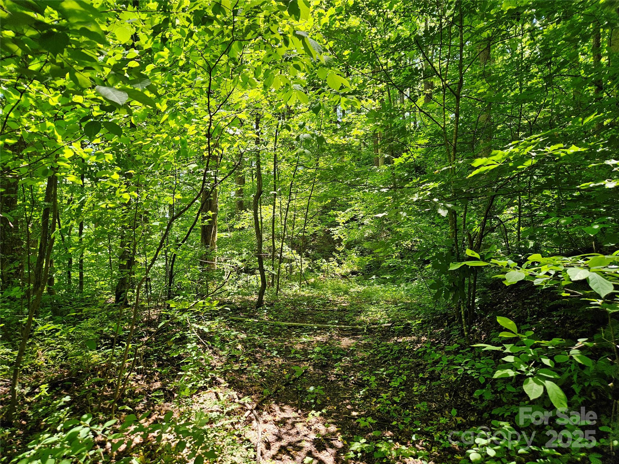 00 Owens Road Property Photo 10