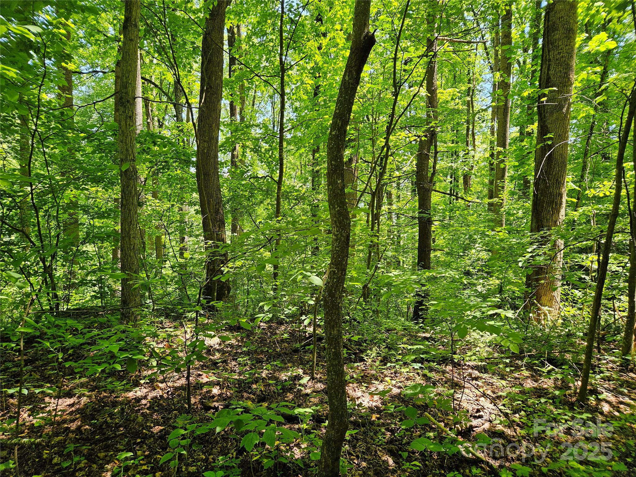 00 Owens Road Property Photo 11