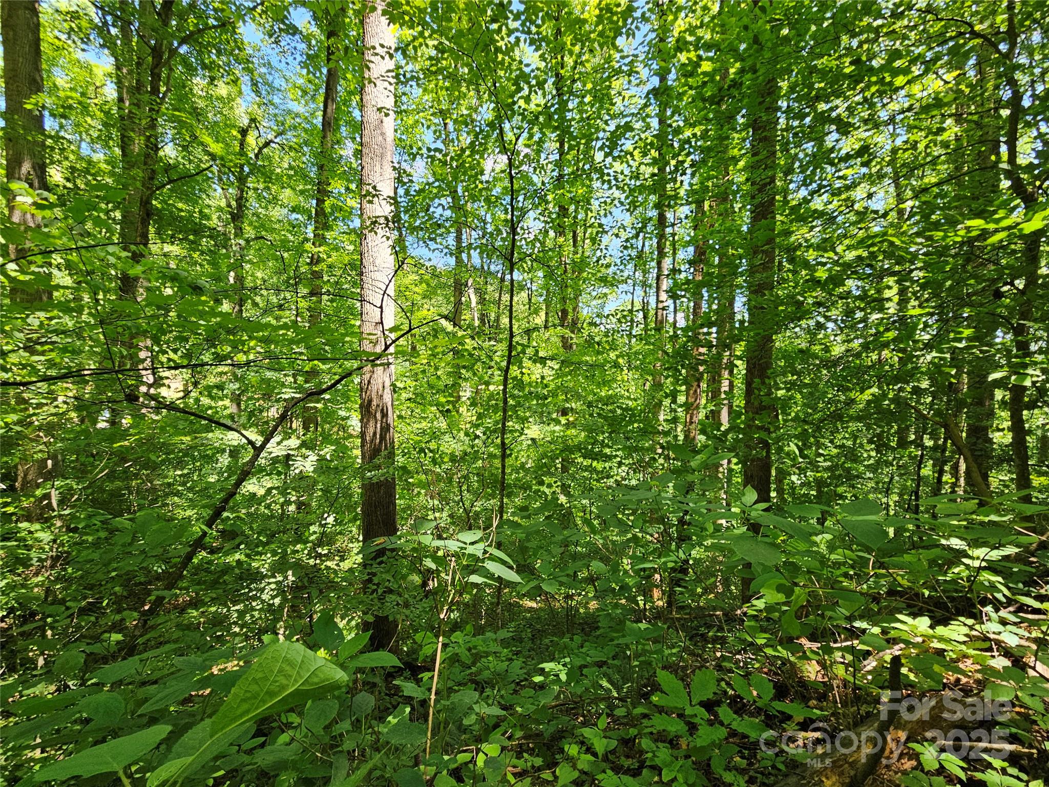 00 Owens Road Property Photo 12