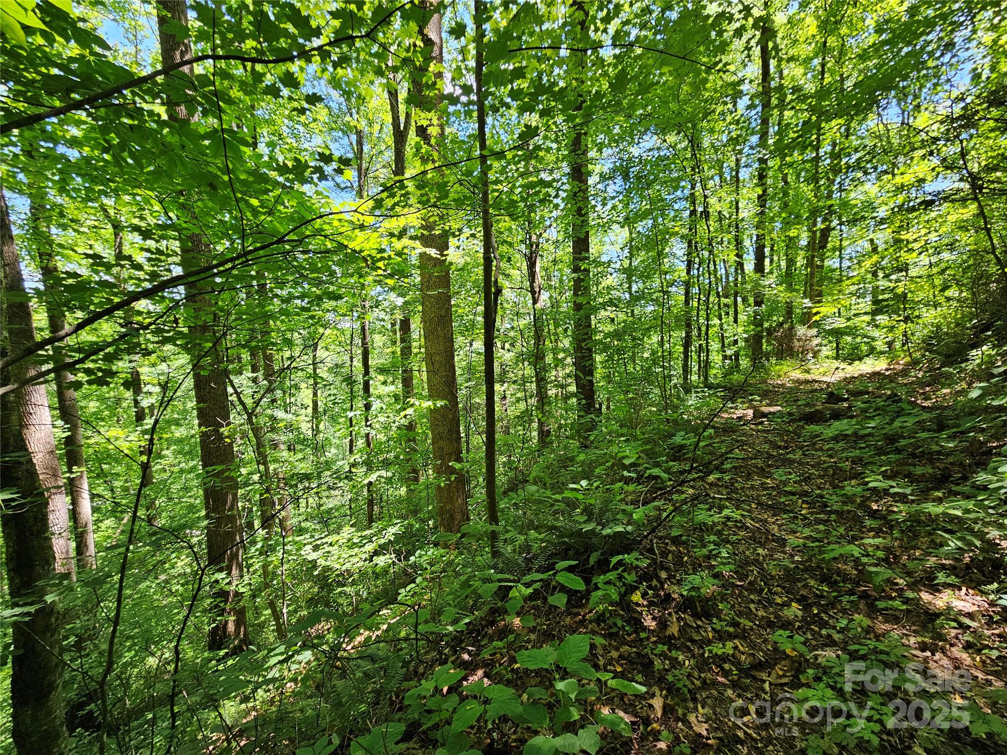 00 Owens Road Property Photo 13