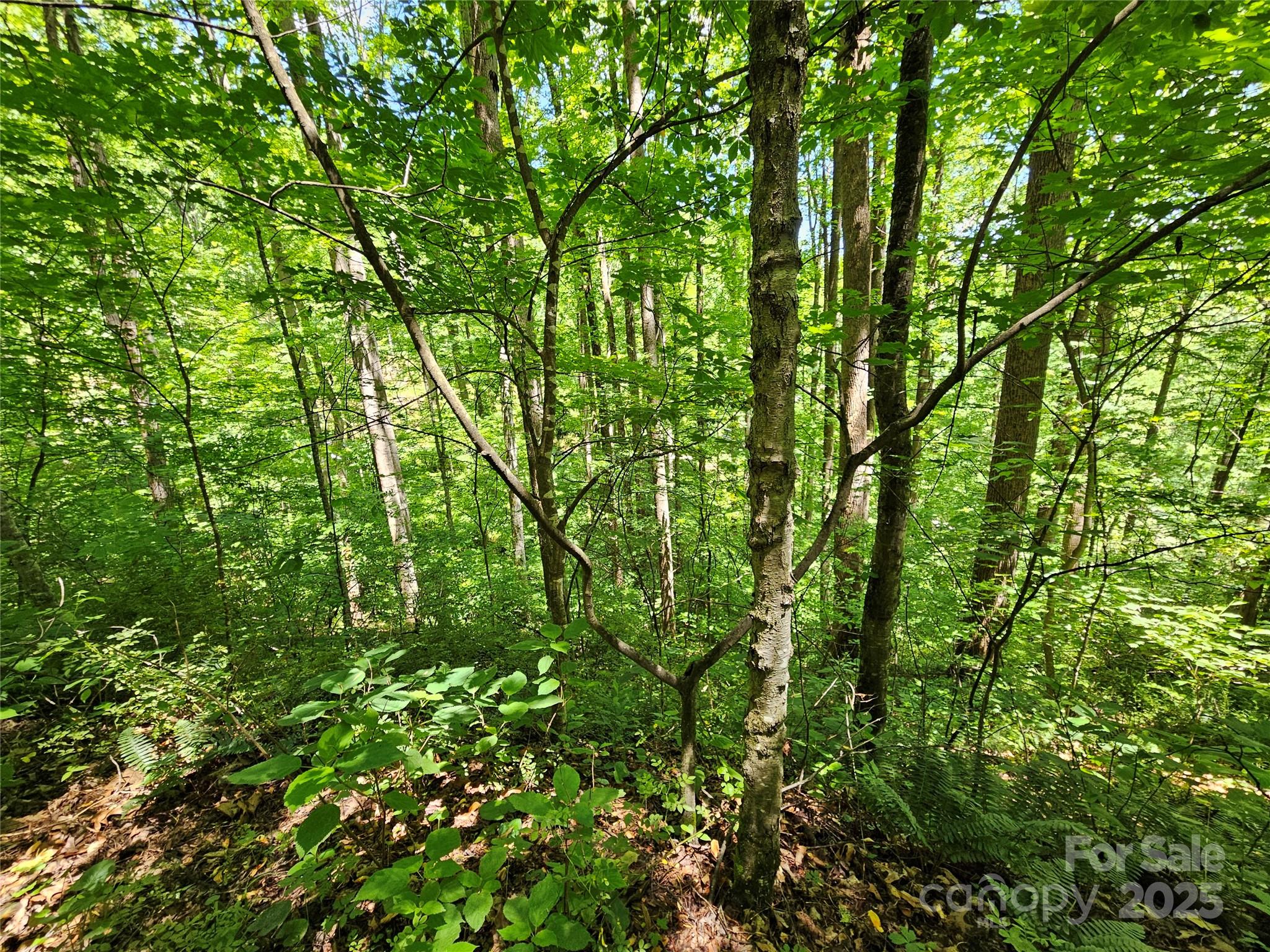 00 Owens Road Property Photo 14