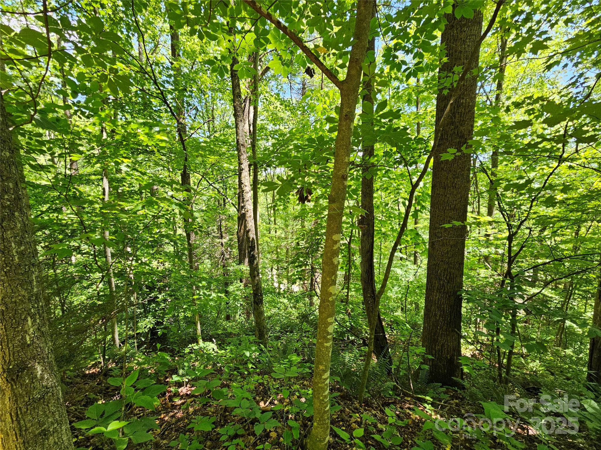 00 Owens Road Property Photo 15