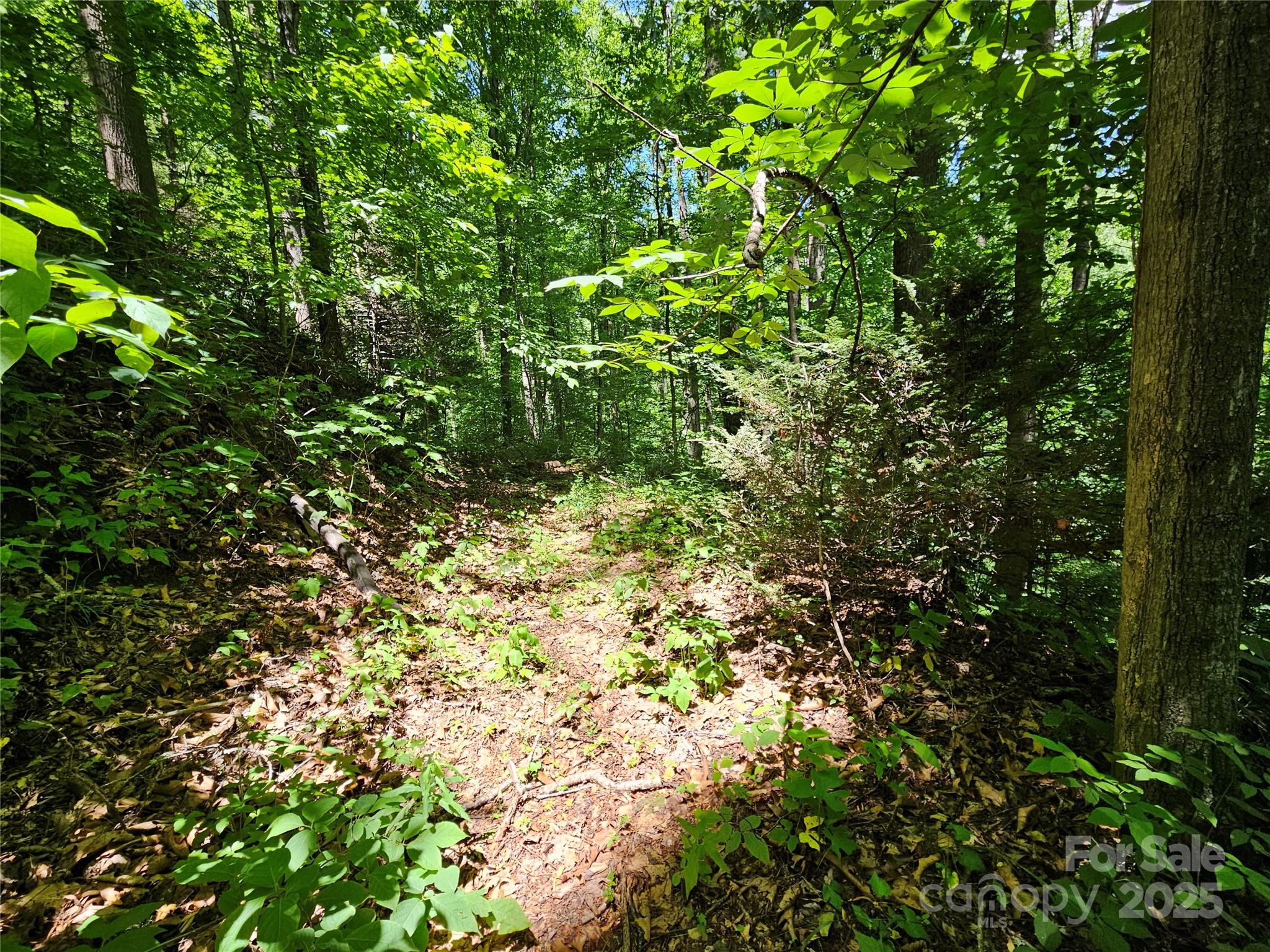 00 Owens Road Property Photo 16