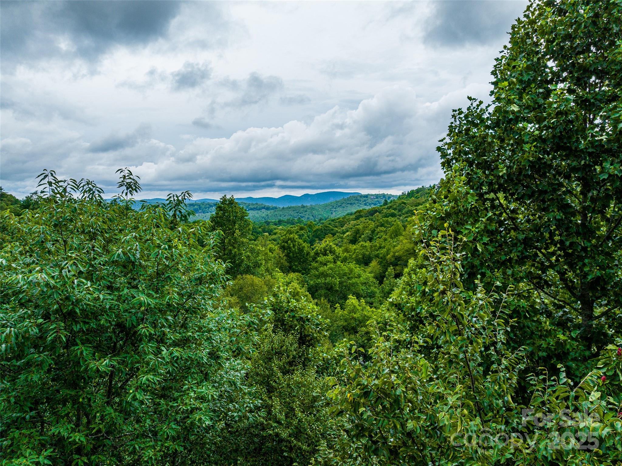 Lot 10 Ravenel Ridge Road 10 Property Photo 1