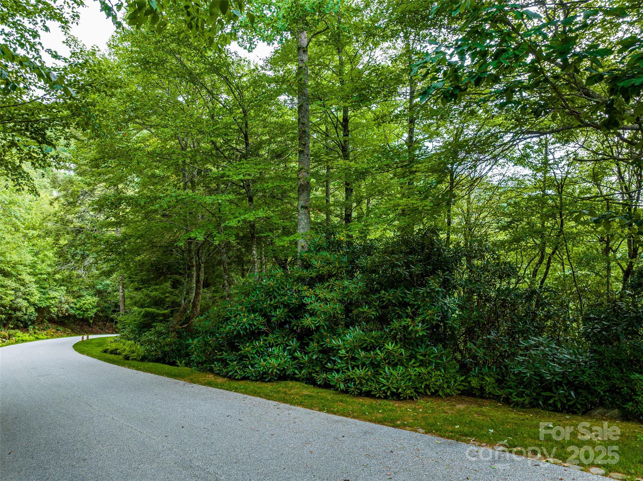 Lot 10 Ravenel Ridge Road 10 Property Photo 3