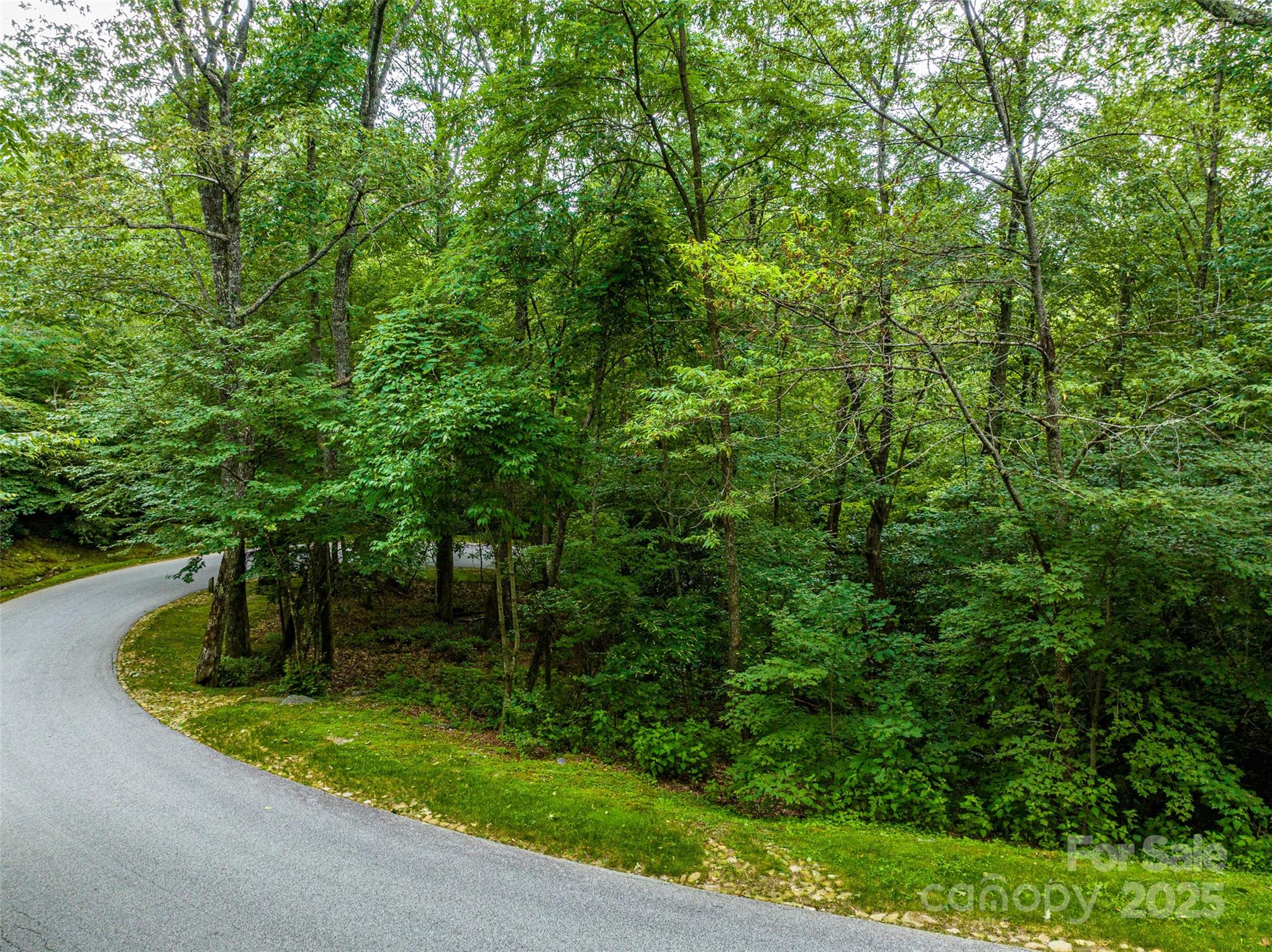Lot 10 Ravenel Ridge Road 10 Property Photo 5