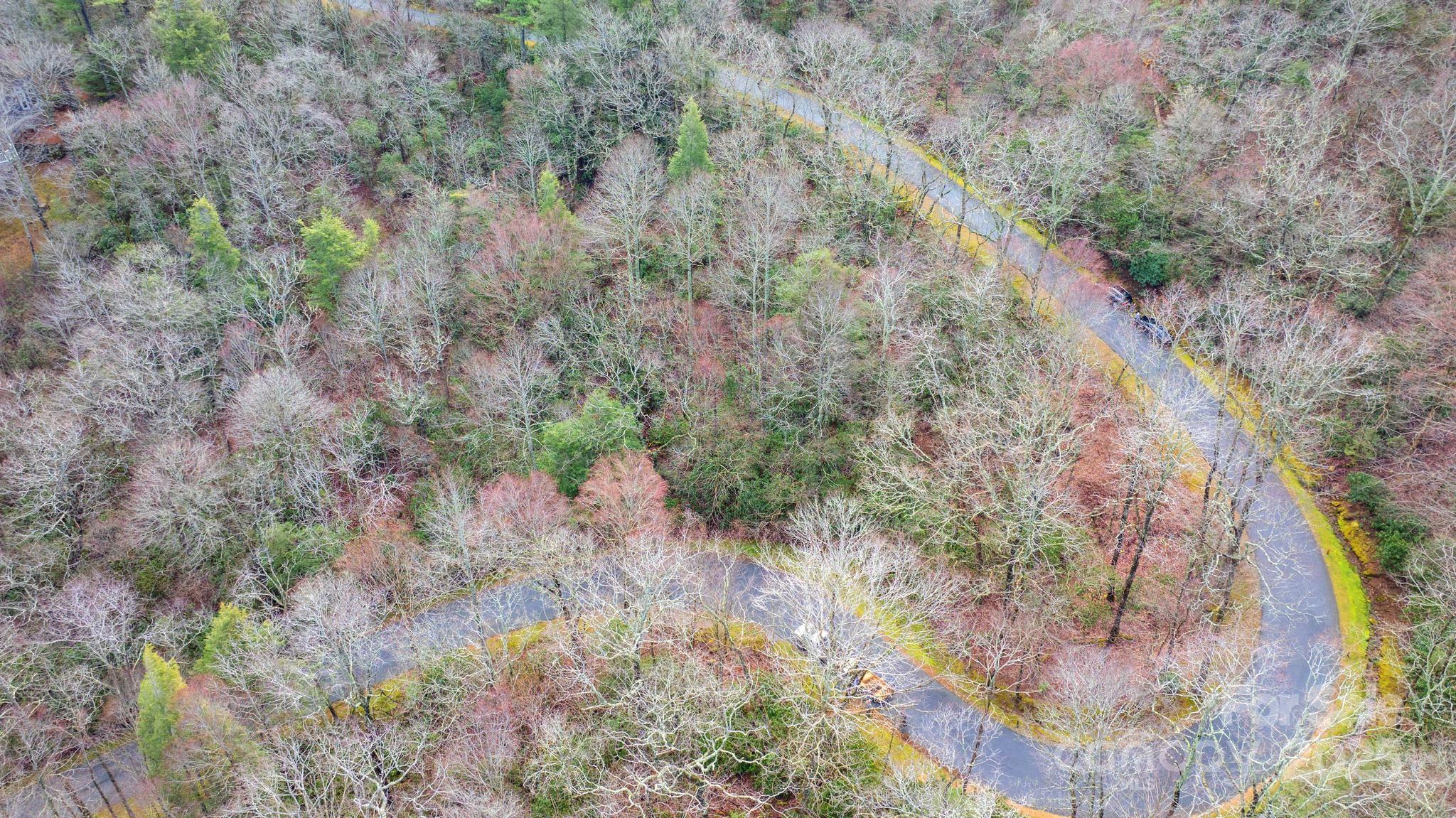 Lot 10 Ravenel Ridge Road 10 Property Photo 6