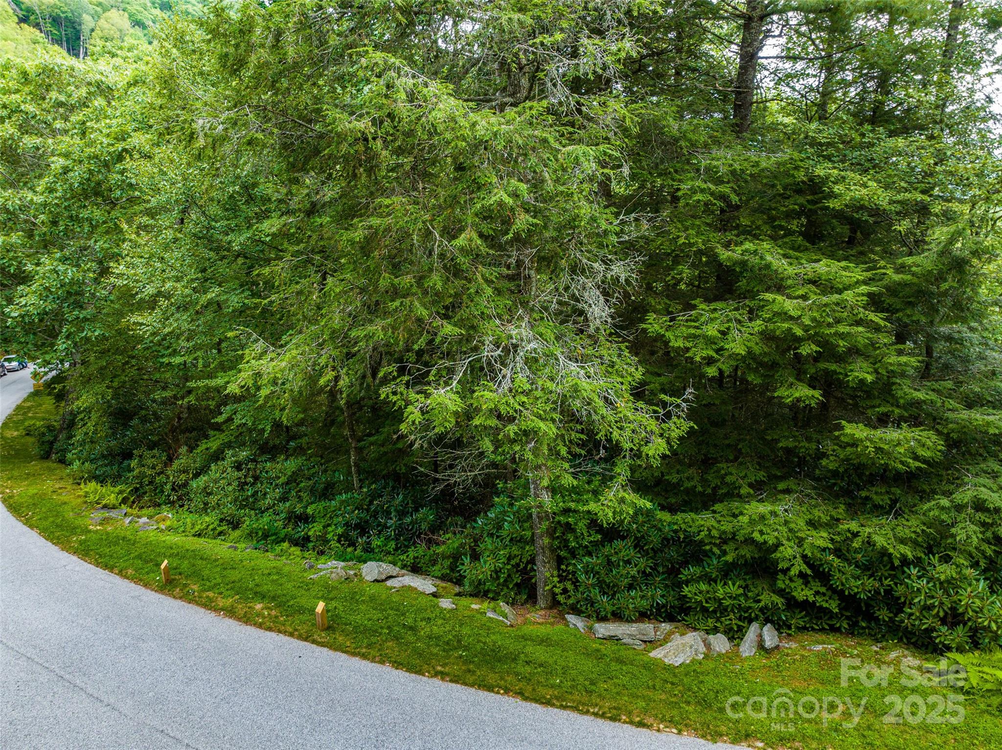 Lot 10 Ravenel Ridge Road 10 Property Photo 11