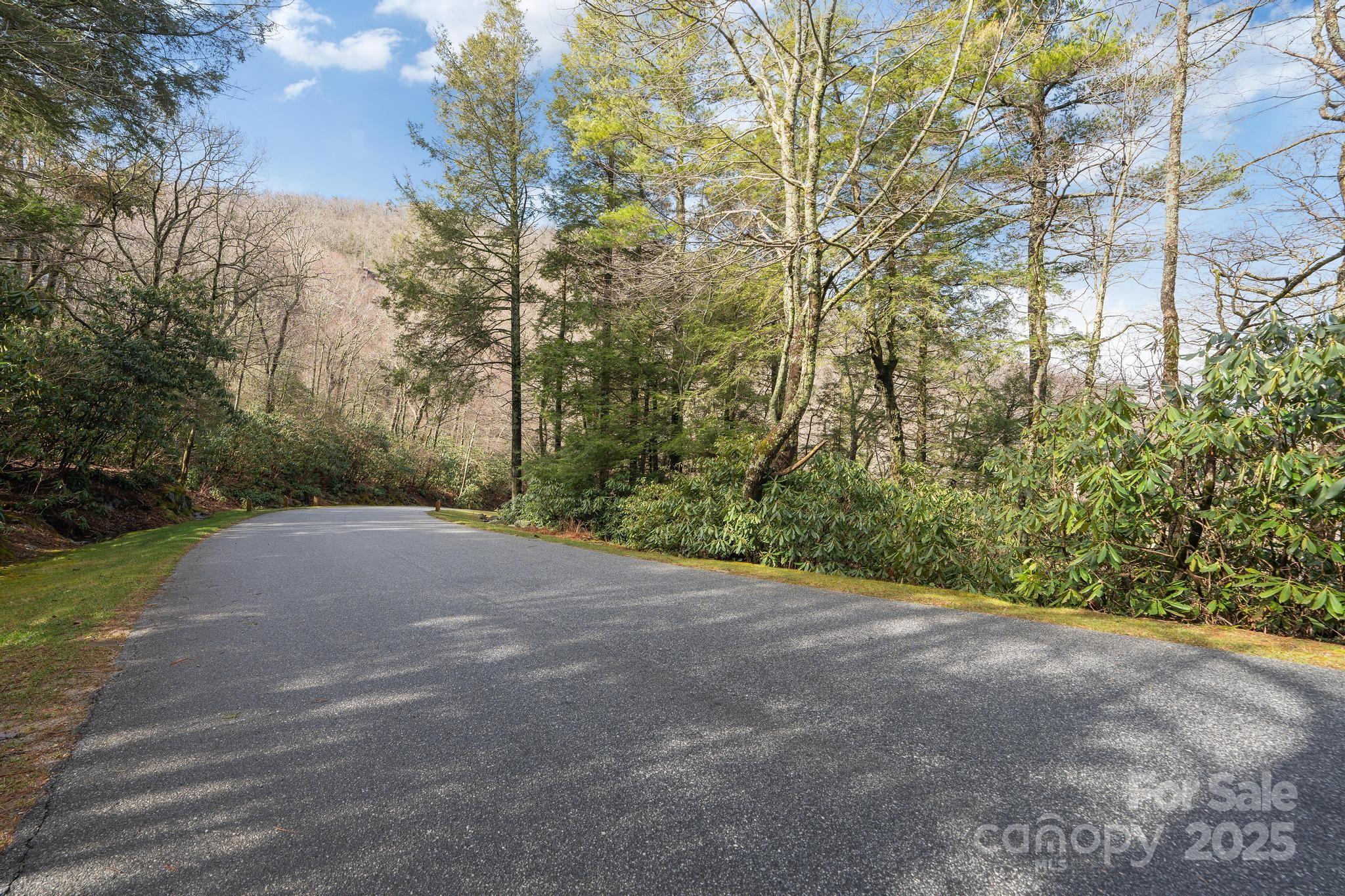 Lot 10 Ravenel Ridge Road 10 Property Photo 12