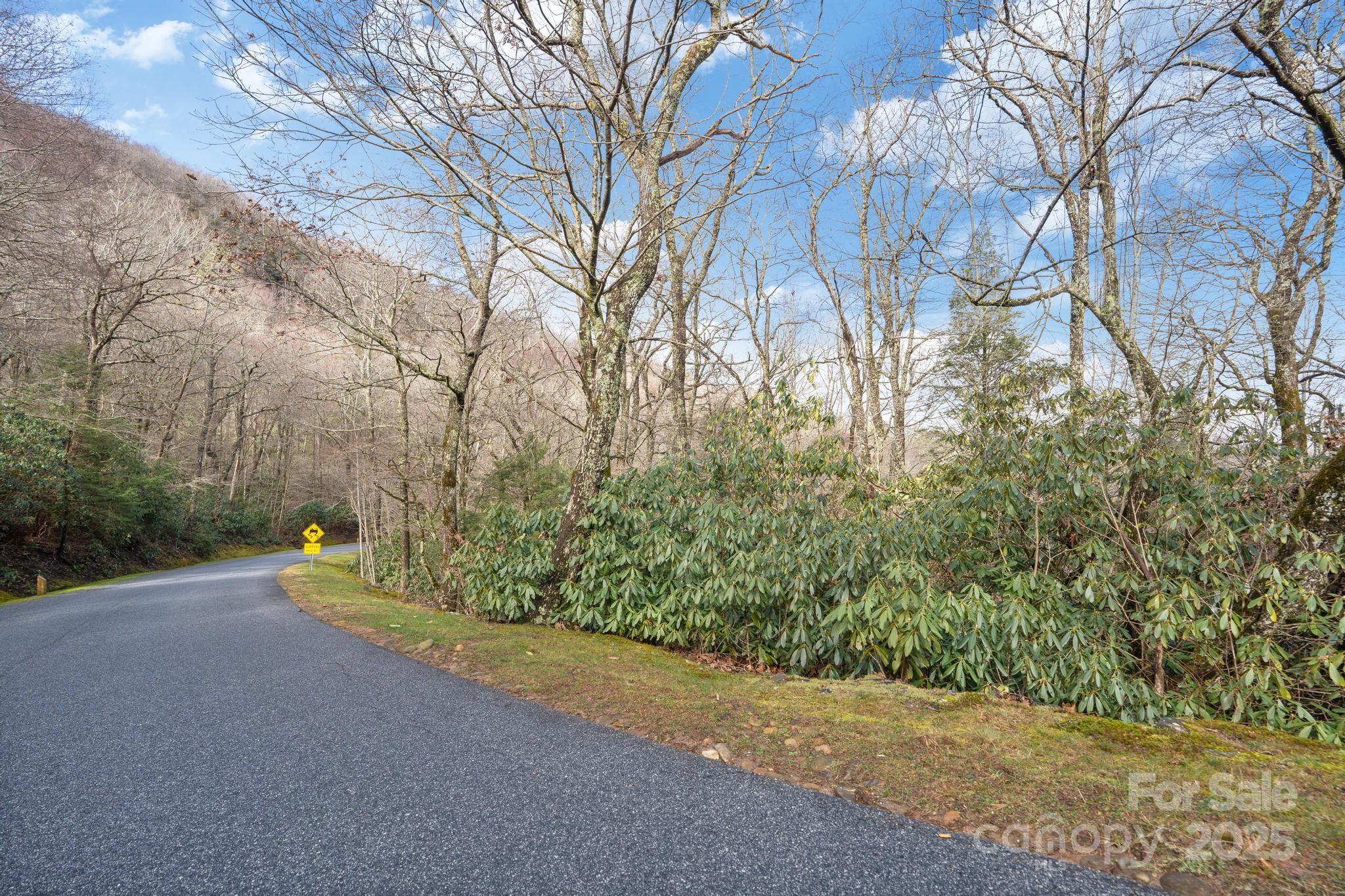 Lot 10 Ravenel Ridge Road 10 Property Photo 14