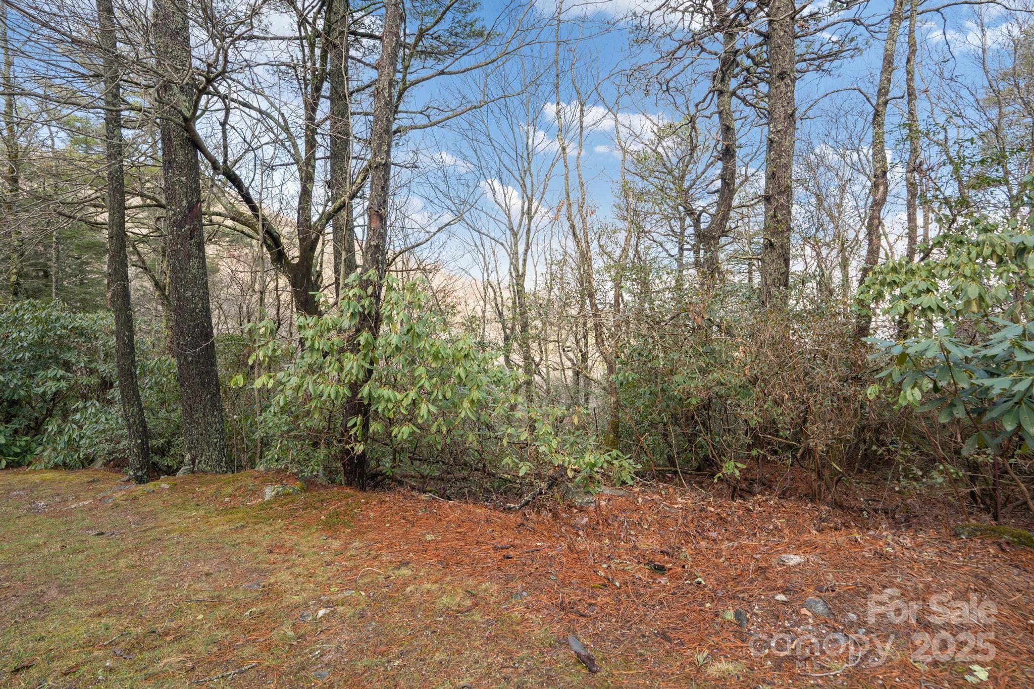Lot 10 Ravenel Ridge Road 10 Property Photo 16