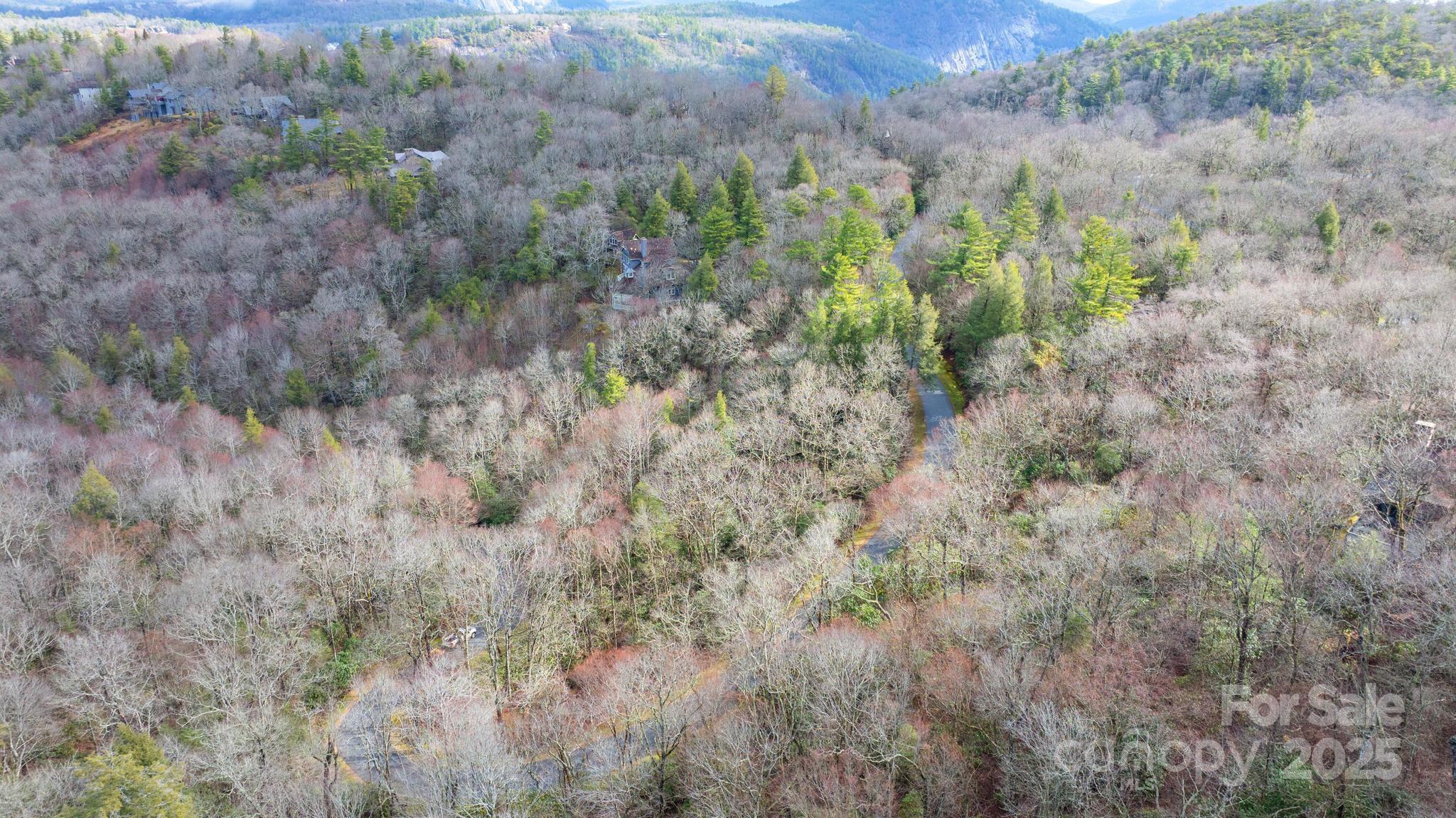Lot 10 Ravenel Ridge Road 10 Property Photo 17