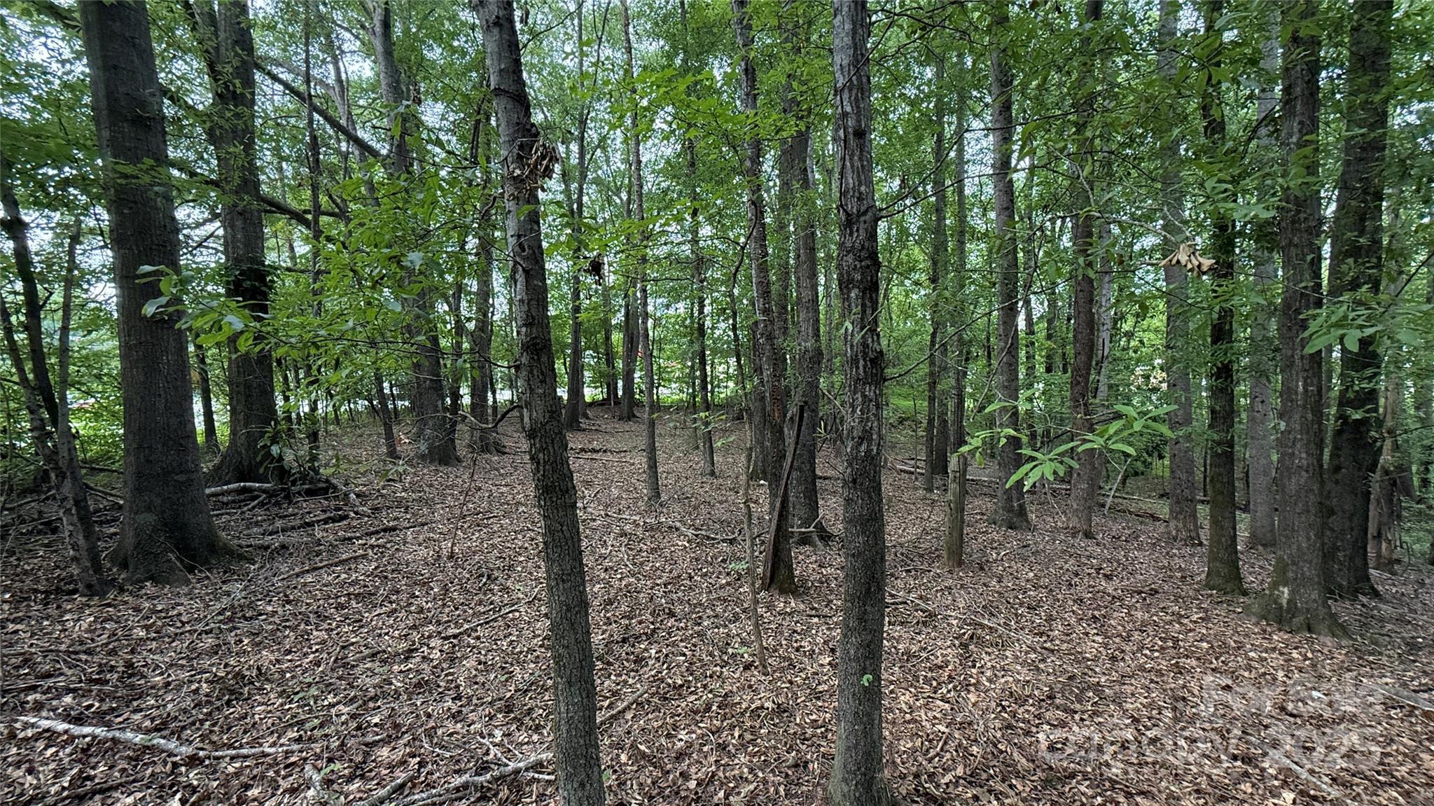 0 College Avenue Property Photo 1
