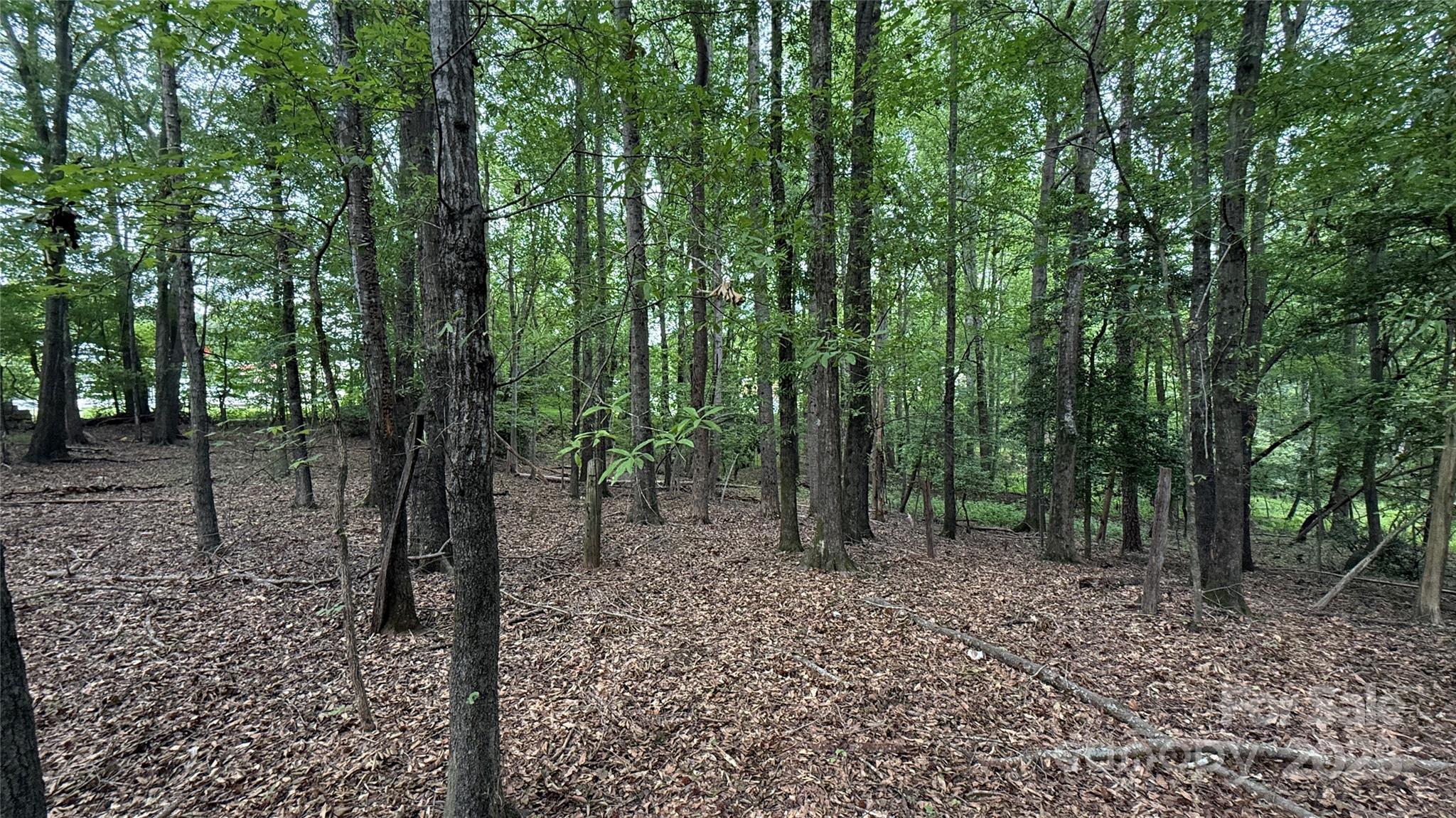 0 College Avenue Property Photo 2