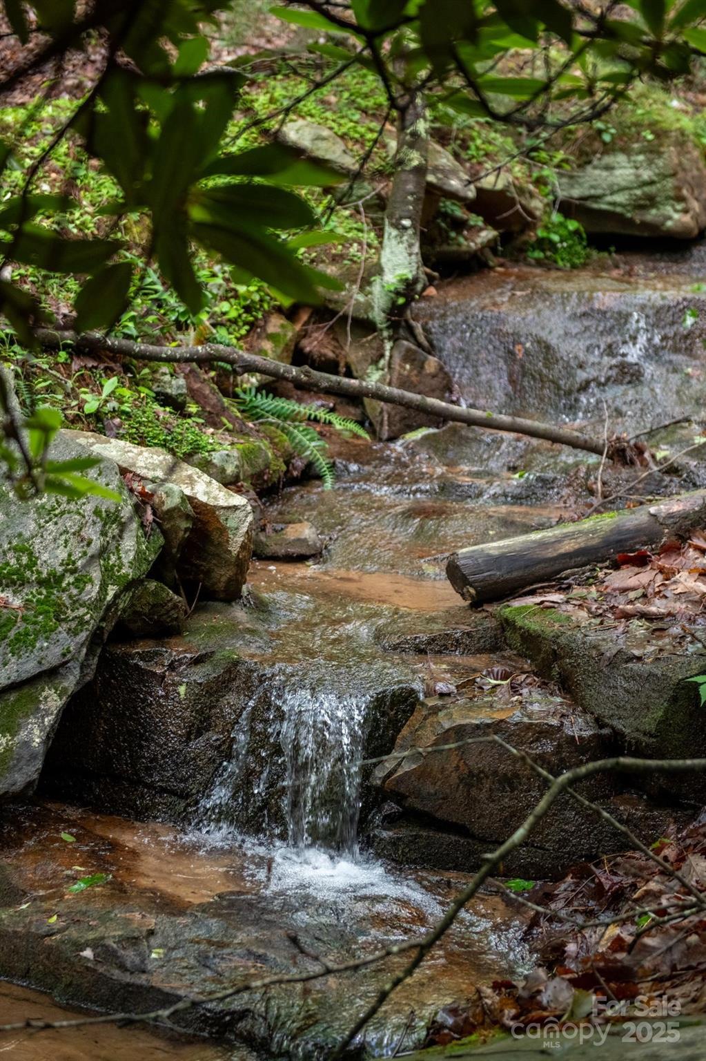 0000 Wheel Team Trail 44 Property Photo 4