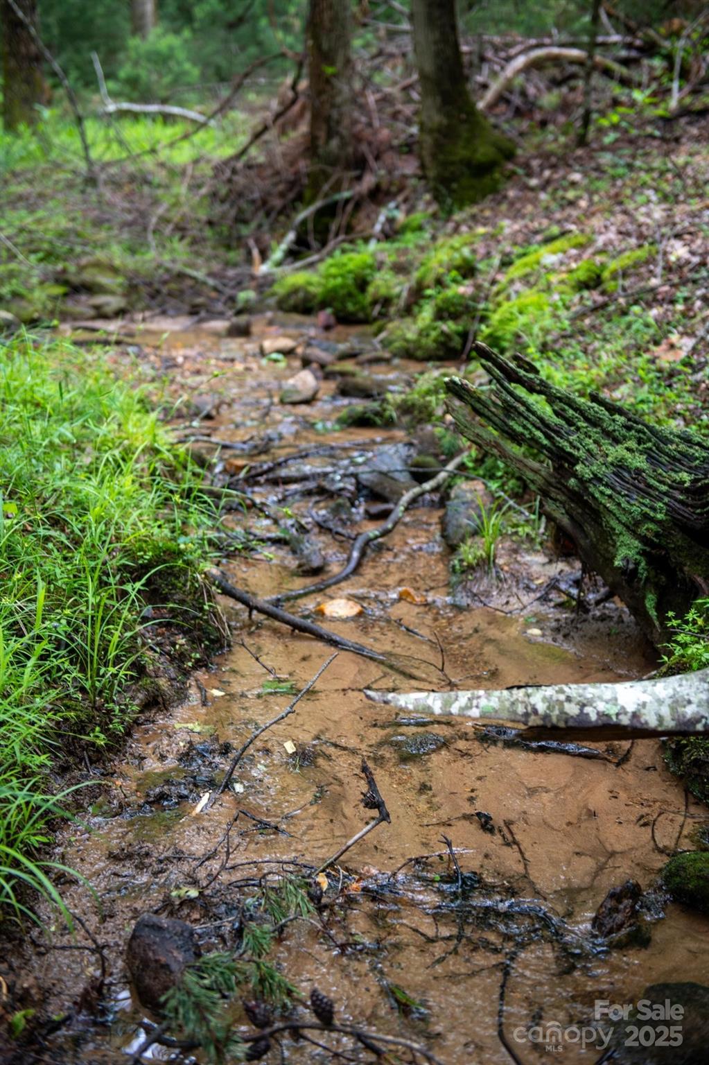 0000 Wheel Team Trail 44 Property Photo 5