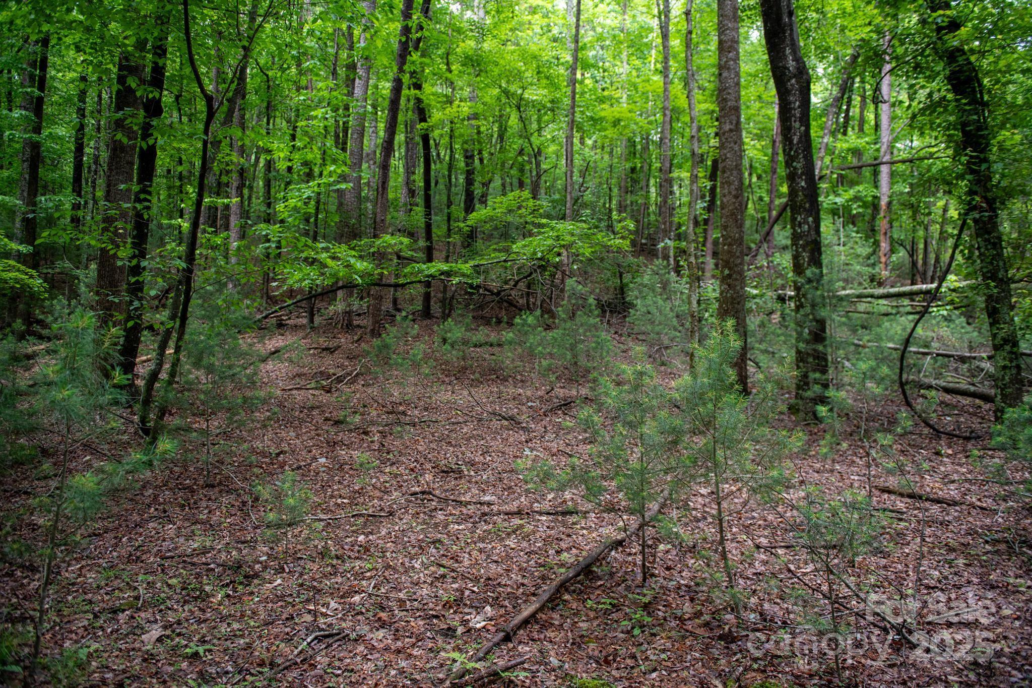 0000 Wheel Team Trail 44 Property Photo 6