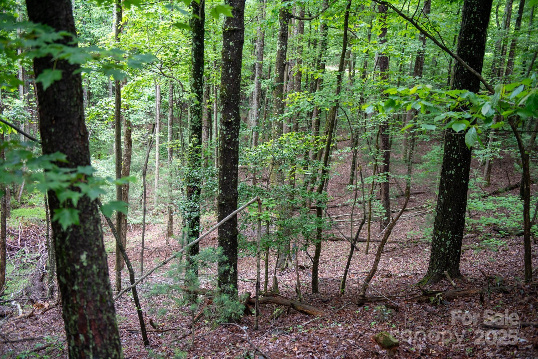 0000 Wheel Team Trail 44 Property Photo 7