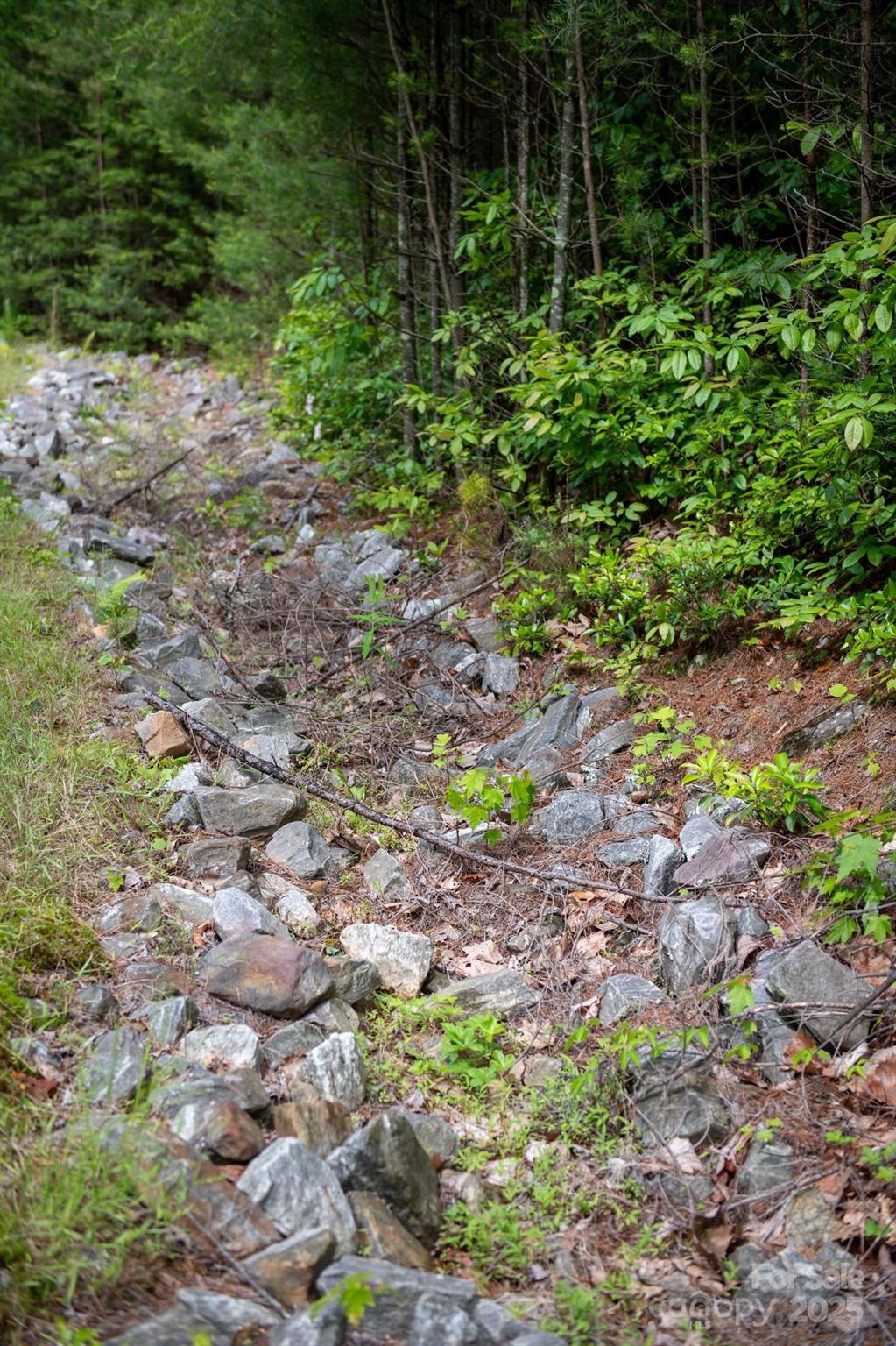 0000 Wheel Team Trail 44 Property Photo 8