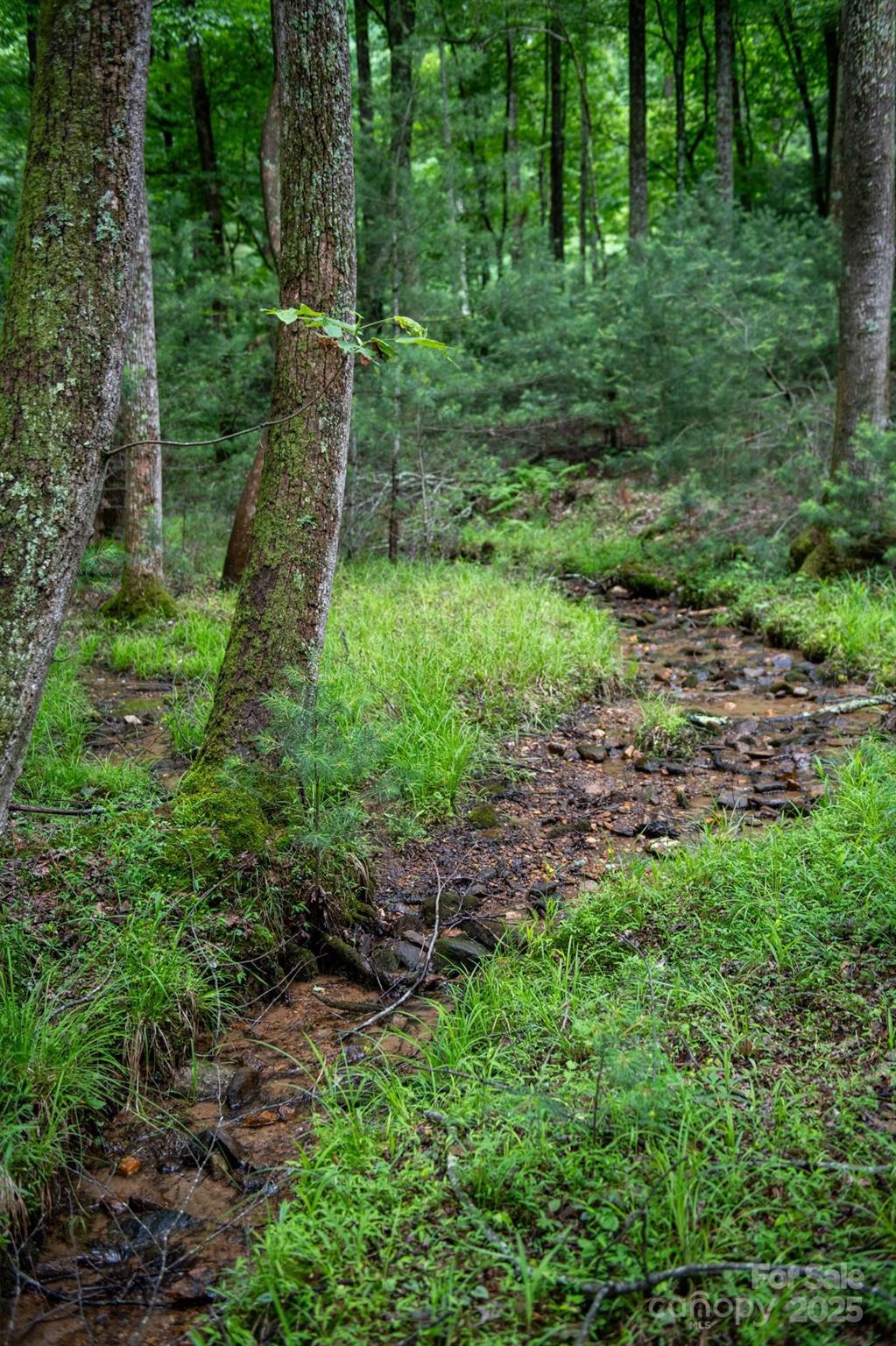 0000 Wheel Team Trail 44 Property Photo 10