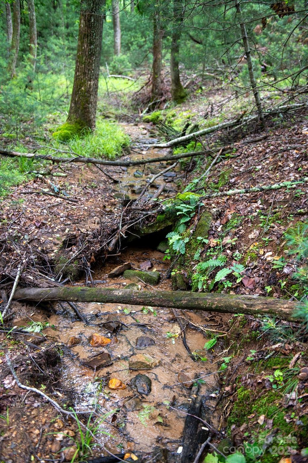 0000 Wheel Team Trail 44 Property Photo 11