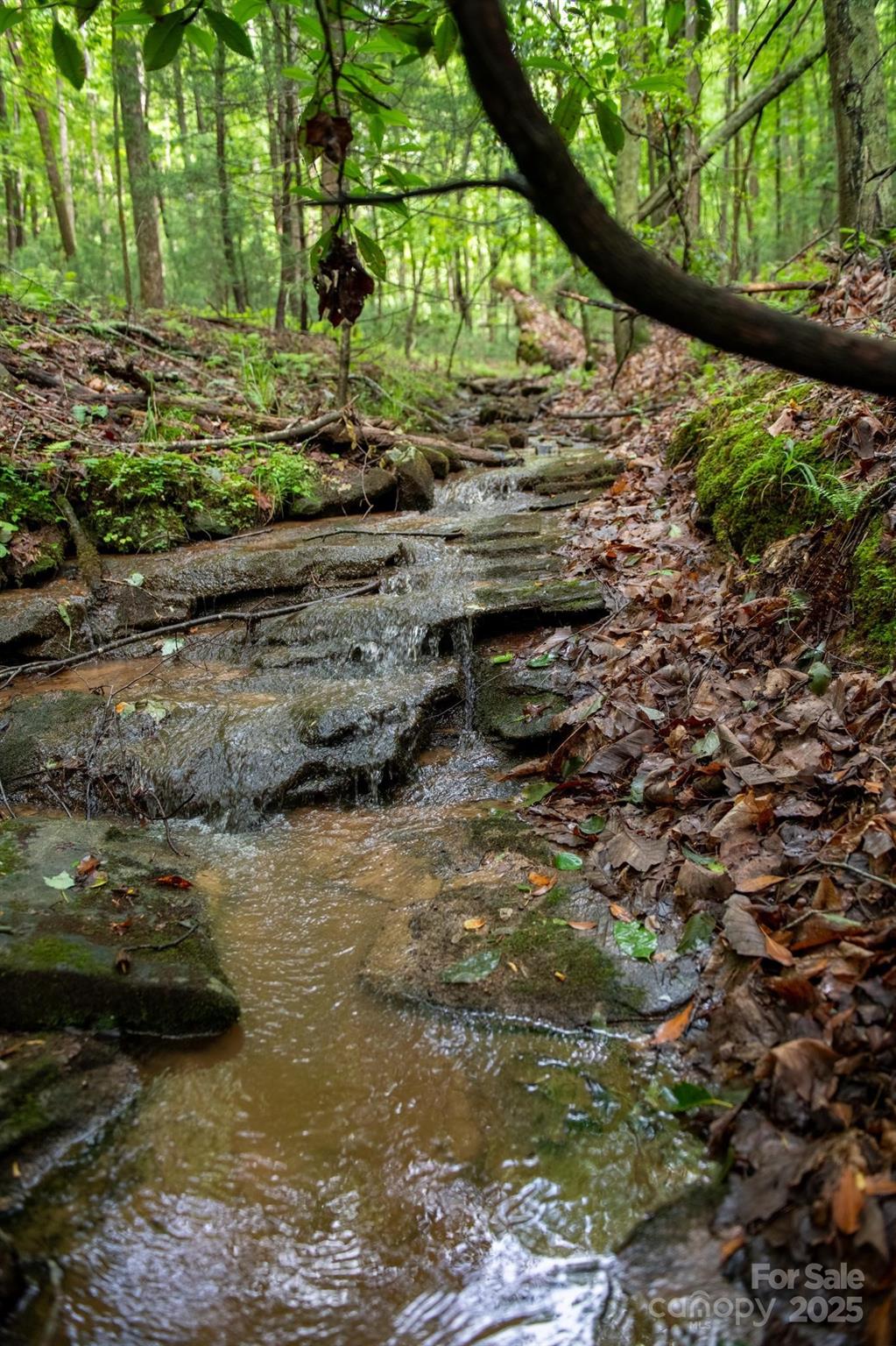 0000 Wheel Team Trail 44 Property Photo 12