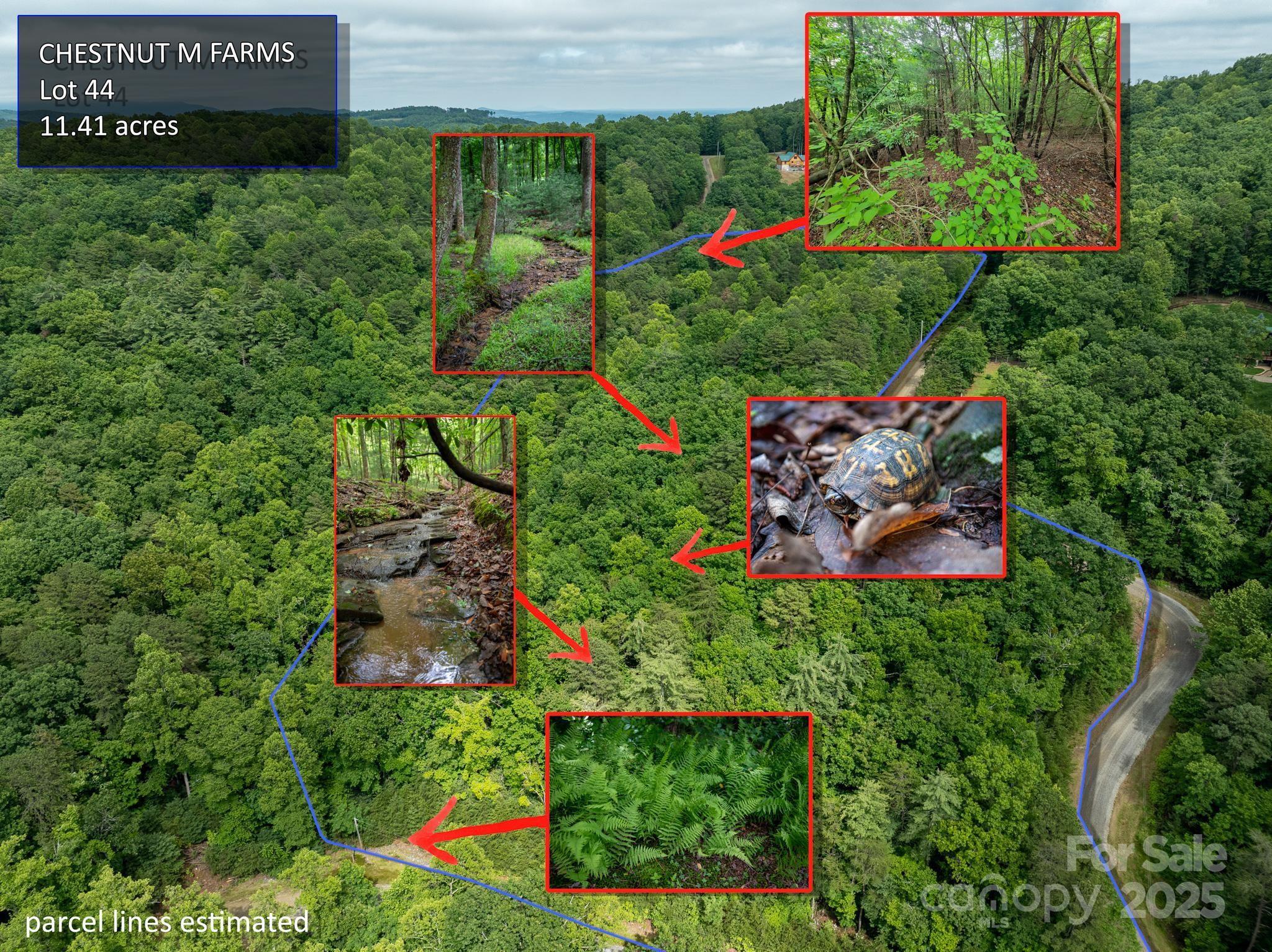 0000 Wheel Team Trail 44 Property Photo 13