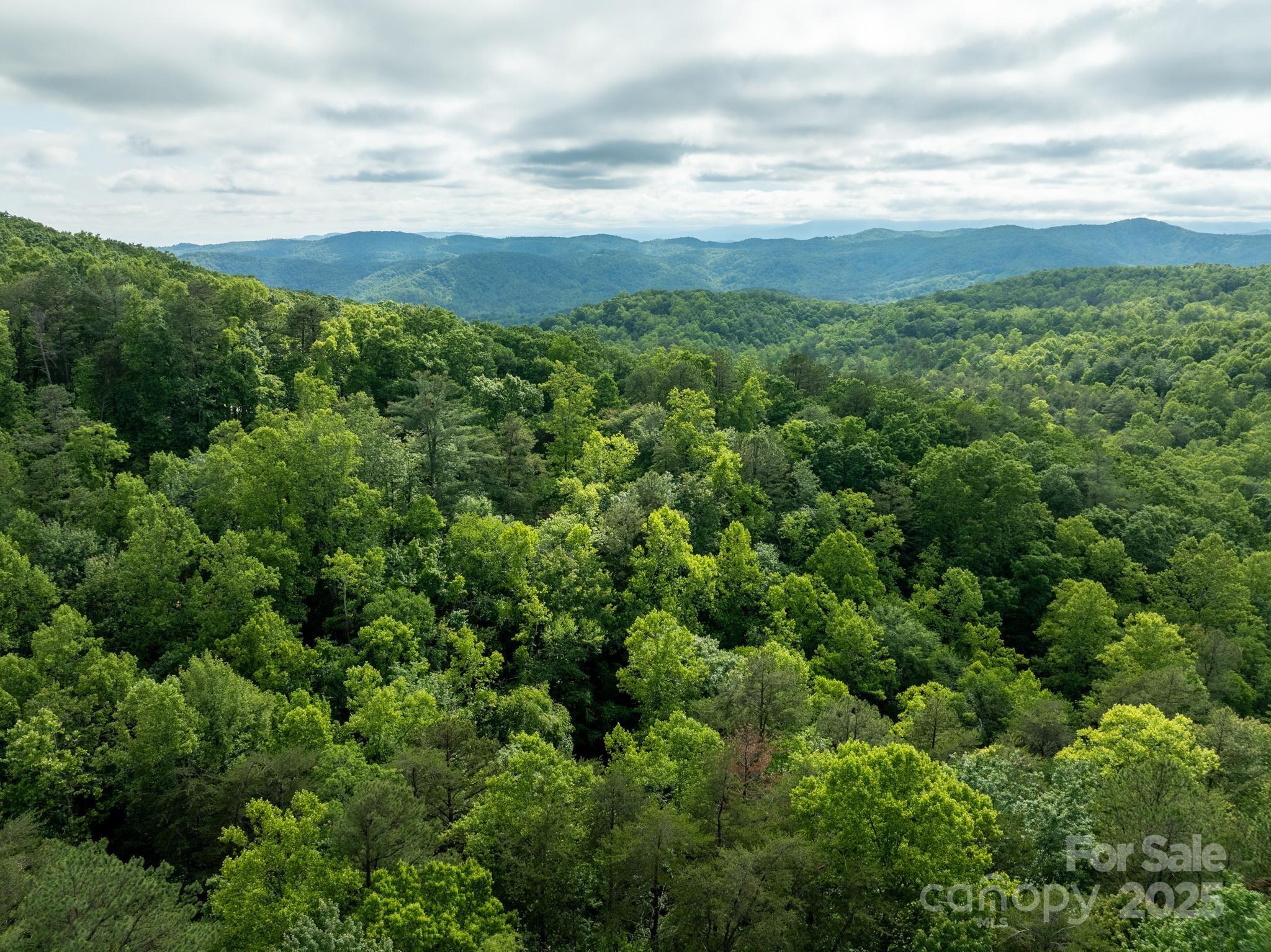 0000 Wheel Team Trail 44 Property Photo 16