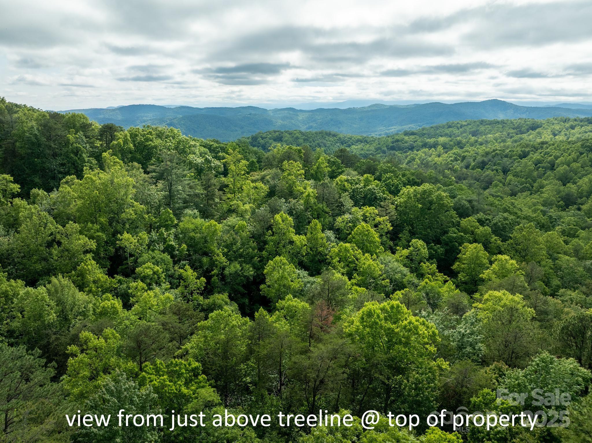 0000 Wheel Team Trail 44 Property Photo 28