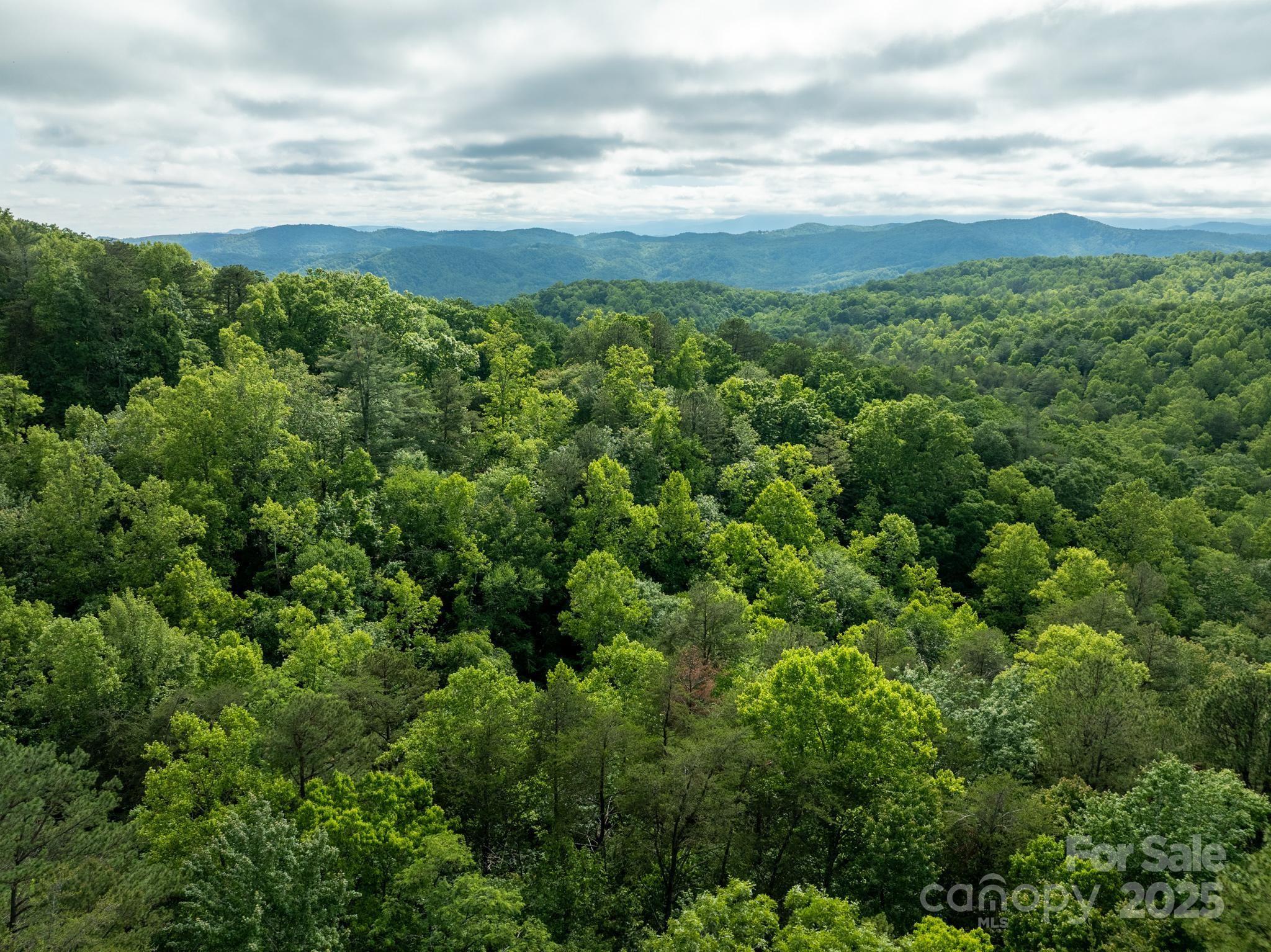 0000 Wheel Team Trail 44 Property Photo 29