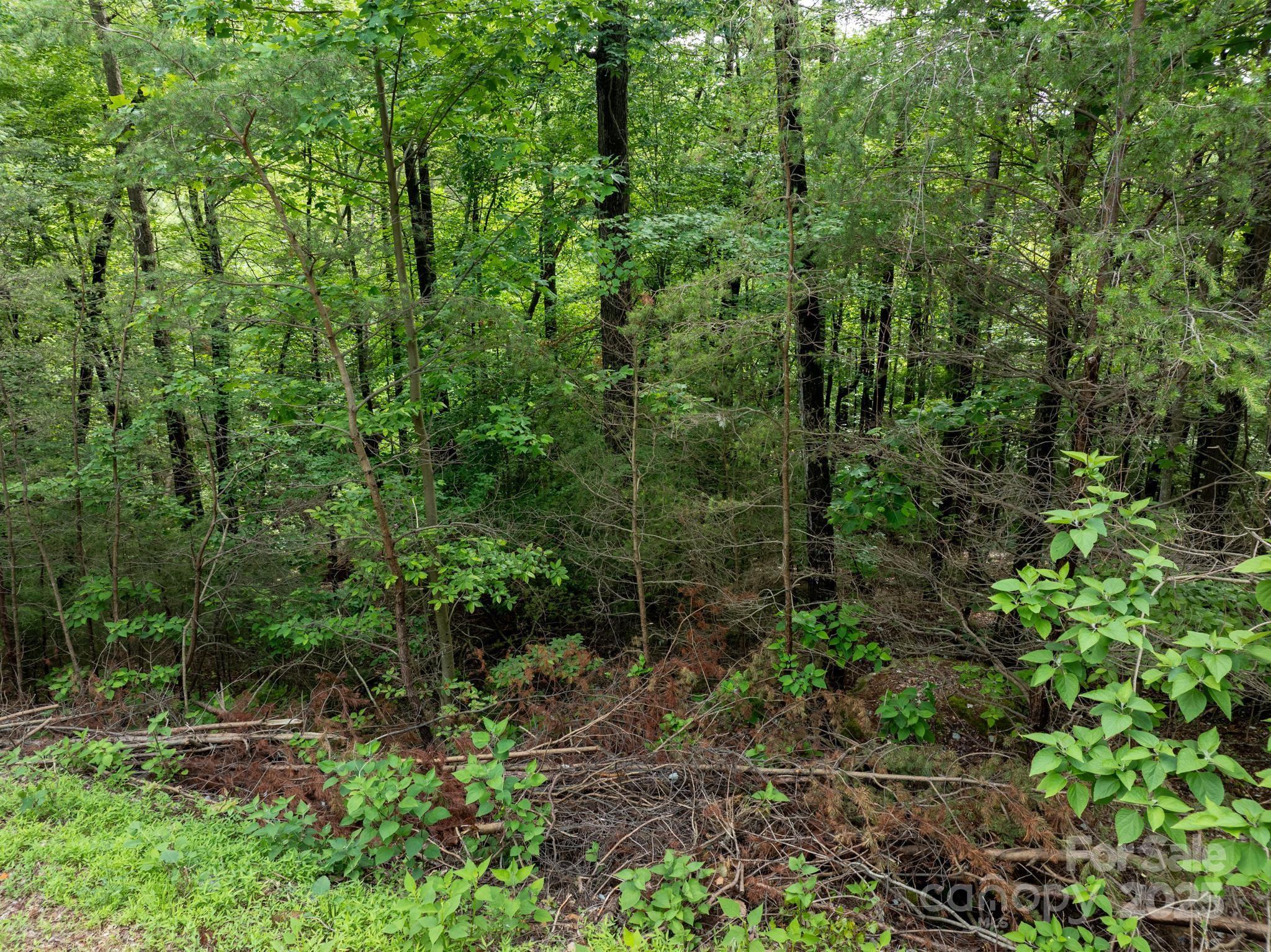 0000 Wheel Team Trail 44 Property Photo 31