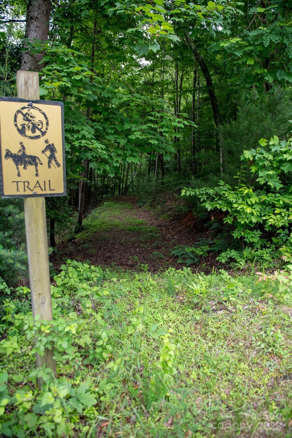 0000 Wheel Team Trail 44 Property Photo 48