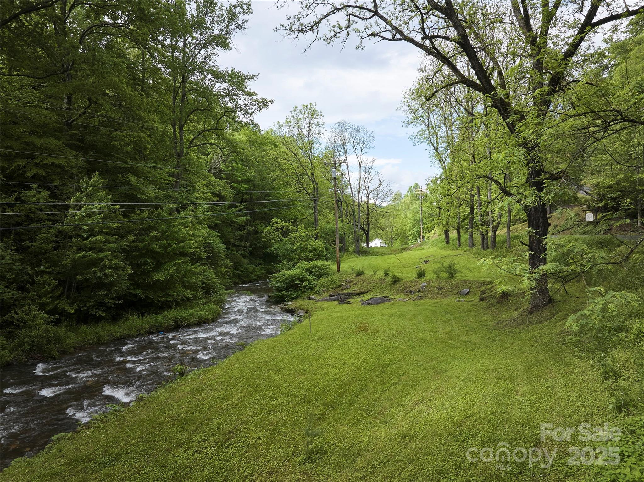 210 Conleys Creek Road Property Photo 4
