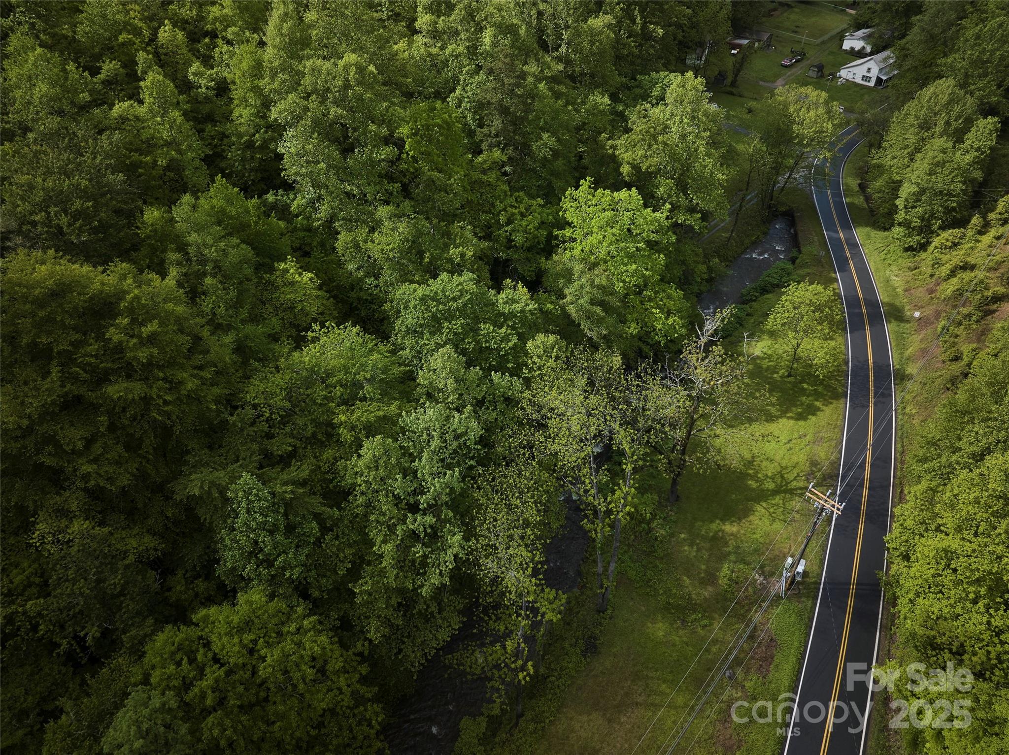 210 Conleys Creek Road Property Photo 5