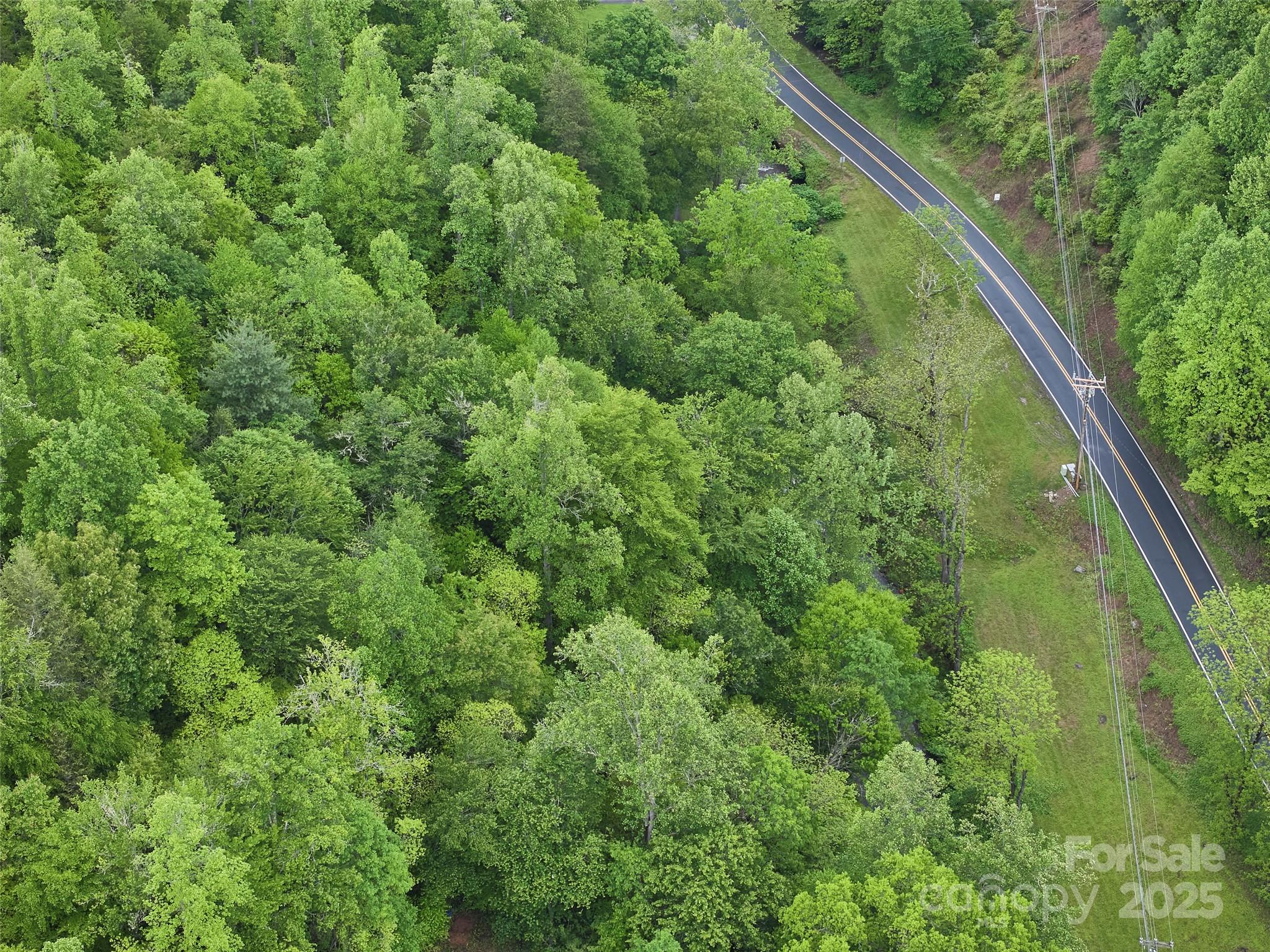 210 Conleys Creek Road Property Photo 6