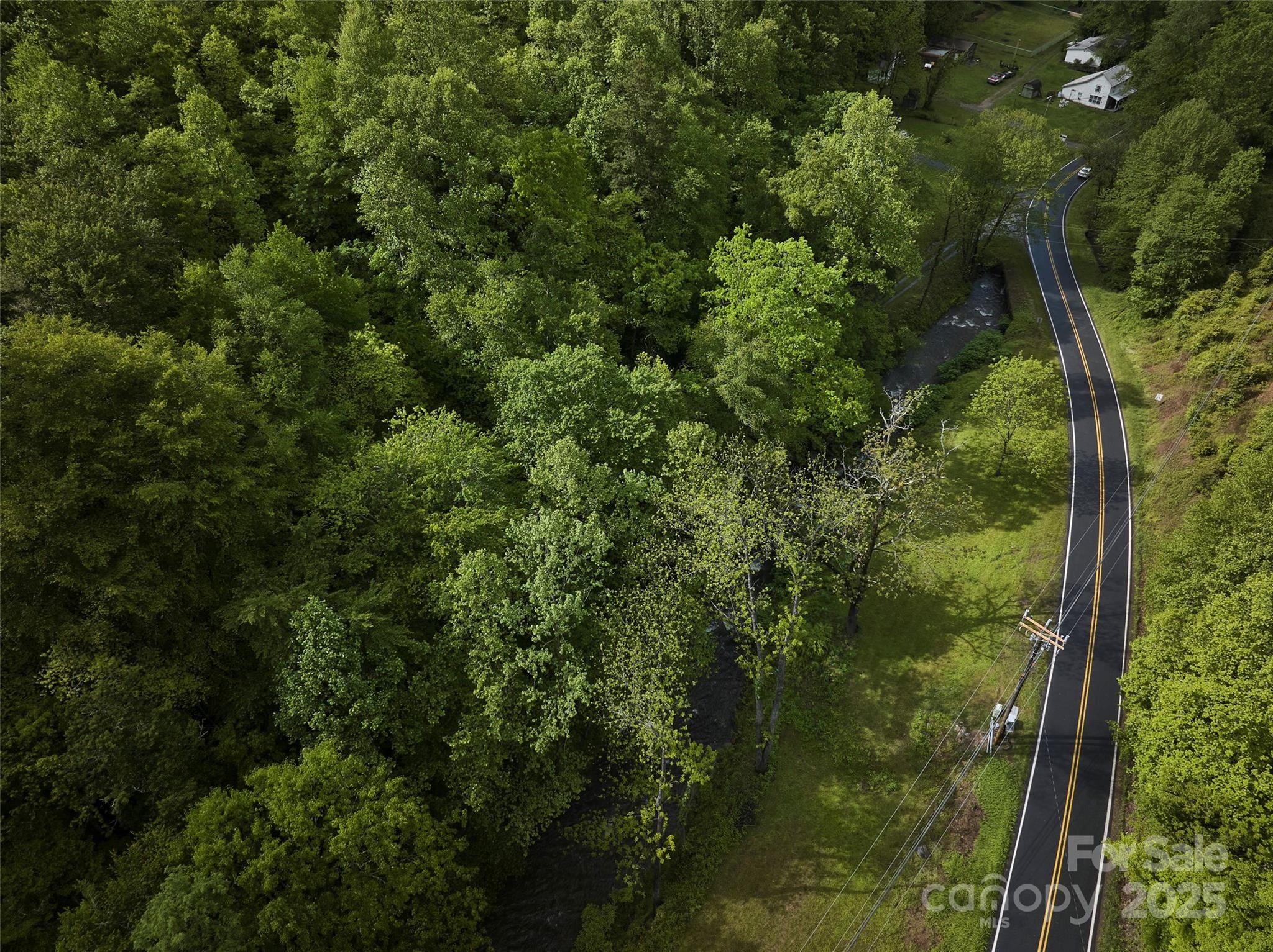 210 Conleys Creek Road Property Photo 7