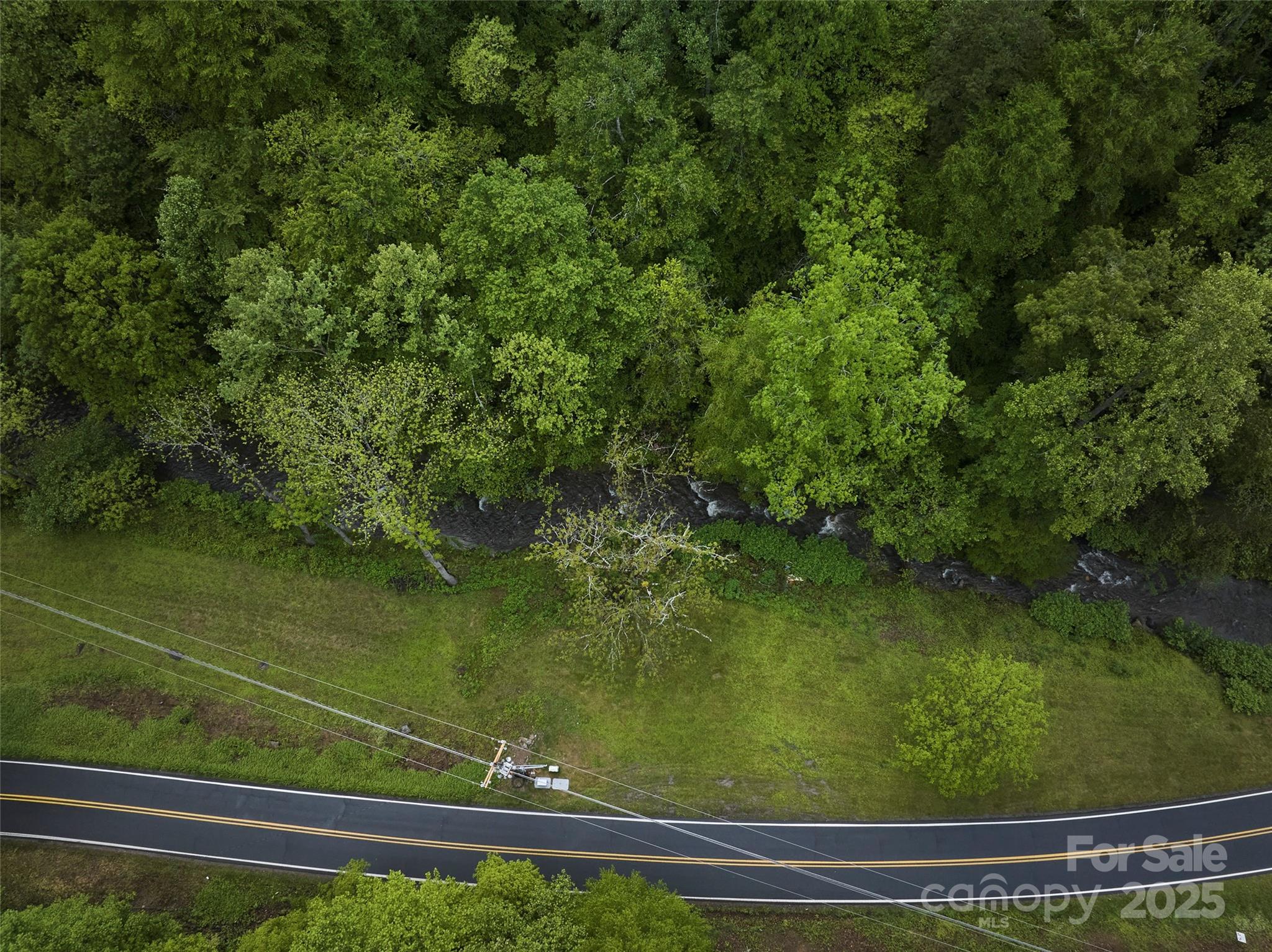 210 Conleys Creek Road Property Photo 11
