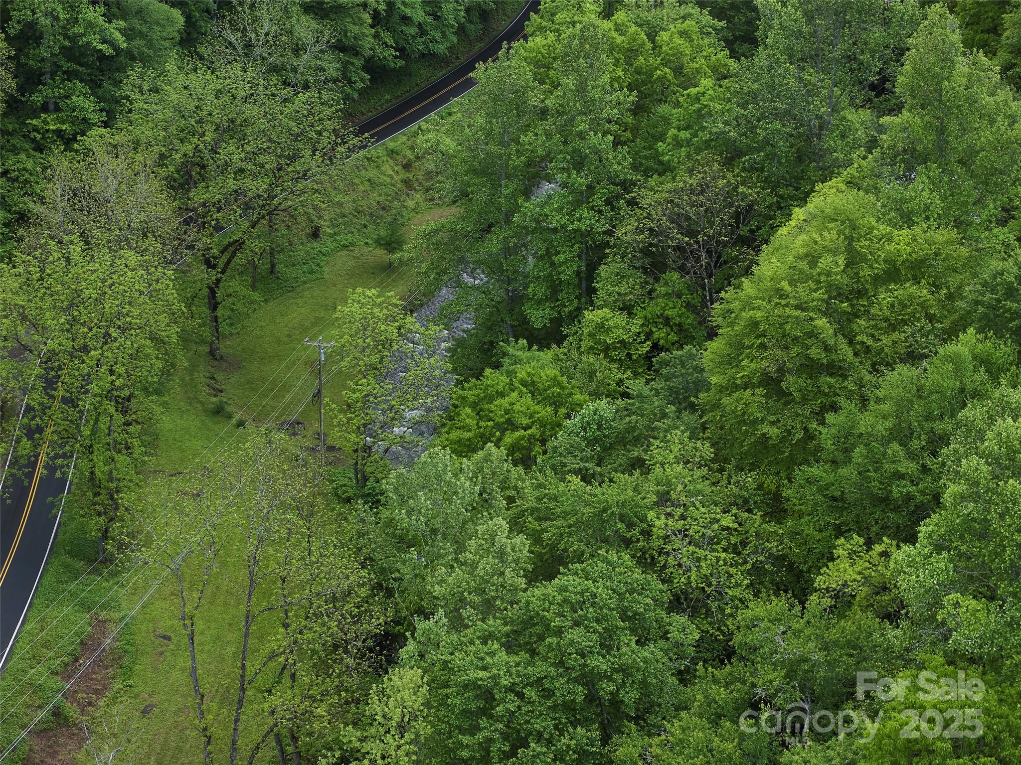 210 Conleys Creek Road Property Photo 12