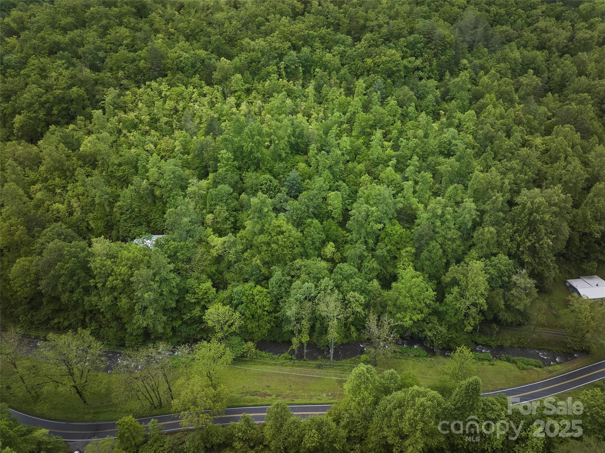 210 Conleys Creek Road Property Photo 14
