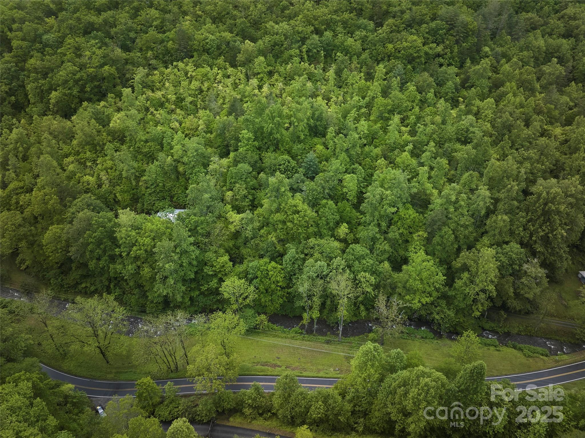 210 Conleys Creek Road Property Photo 15