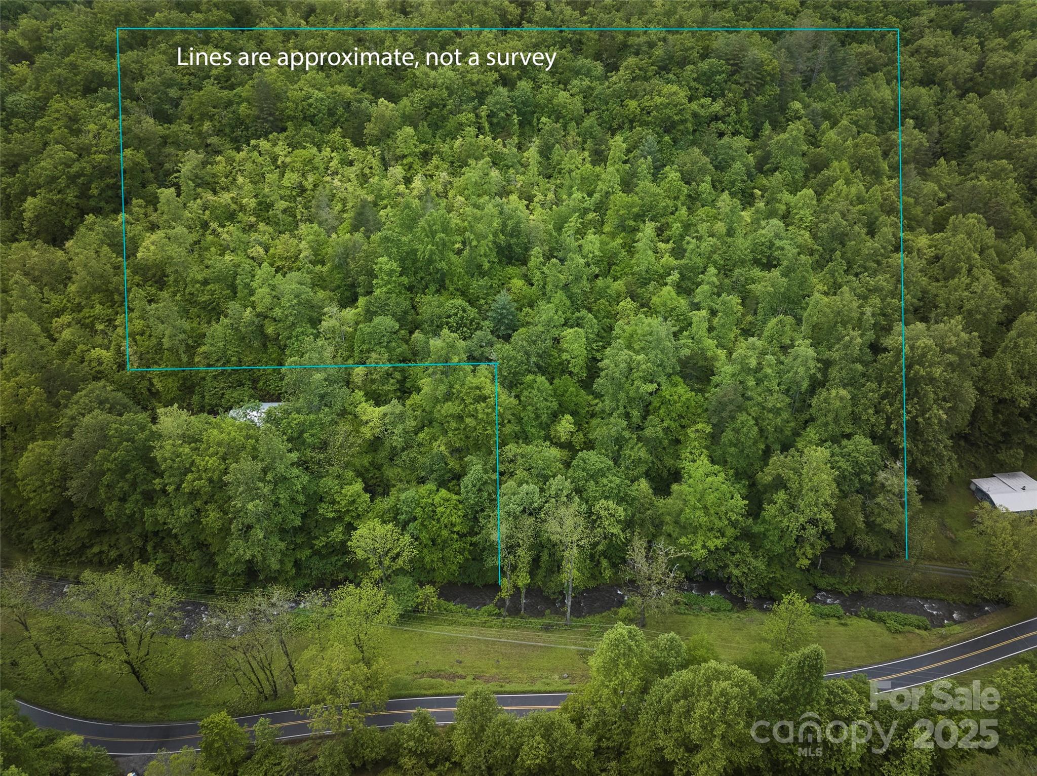 210 Conleys Creek Road Property Photo 16