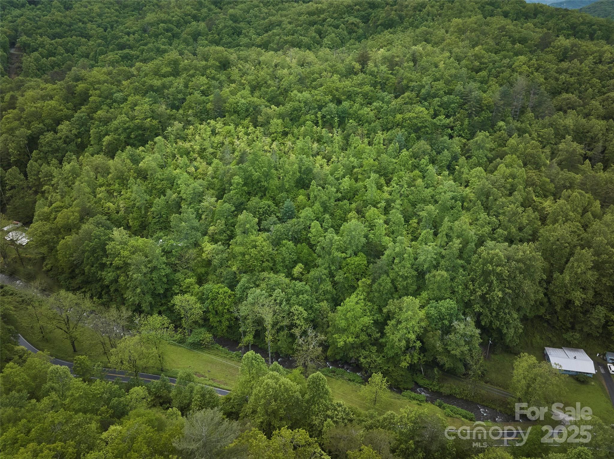 210 Conleys Creek Road Property Photo 17