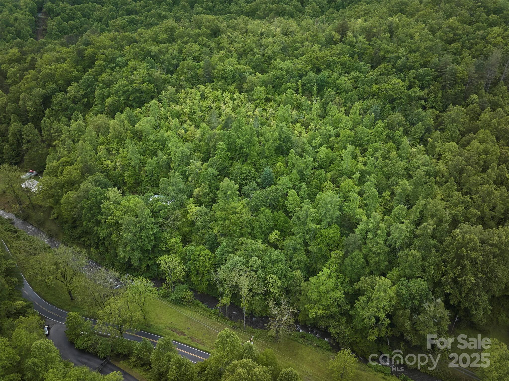 210 Conleys Creek Road Property Photo 18