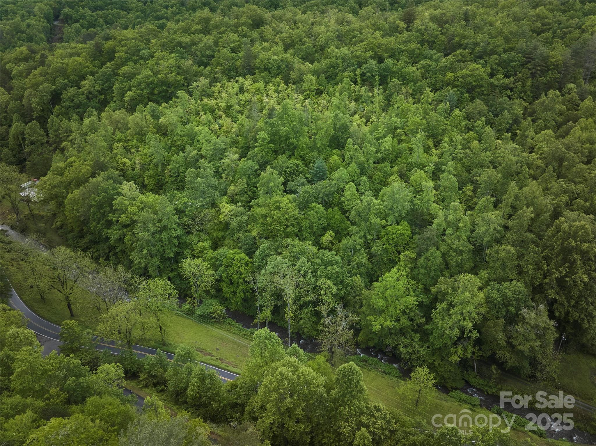 210 Conleys Creek Road Property Photo 19