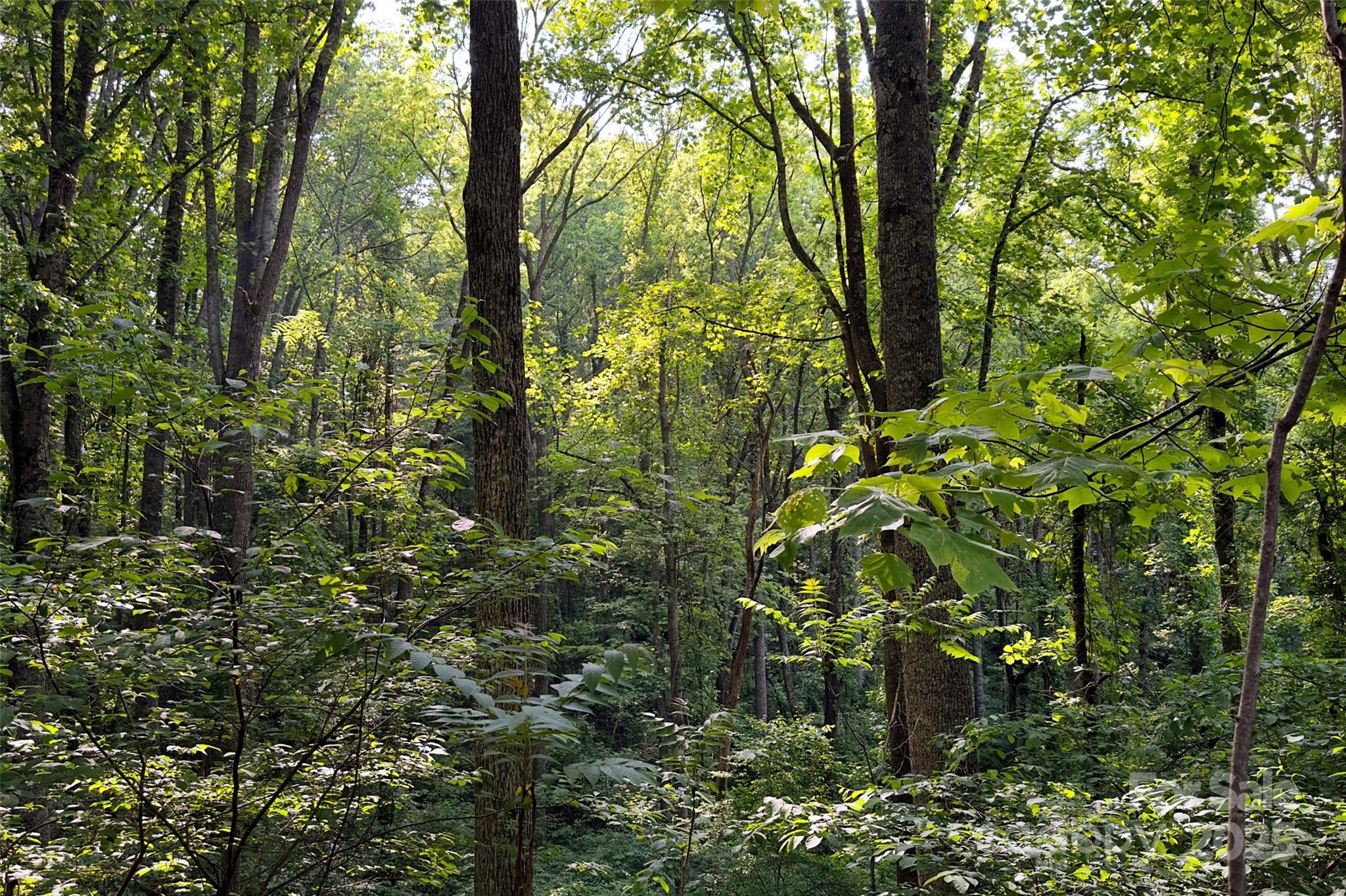 V/l Smith Knolls Road Property Photo 11