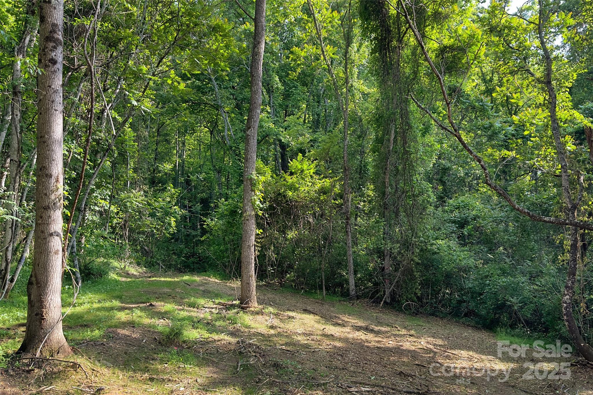 V/l Smith Knolls Road Property Photo 12