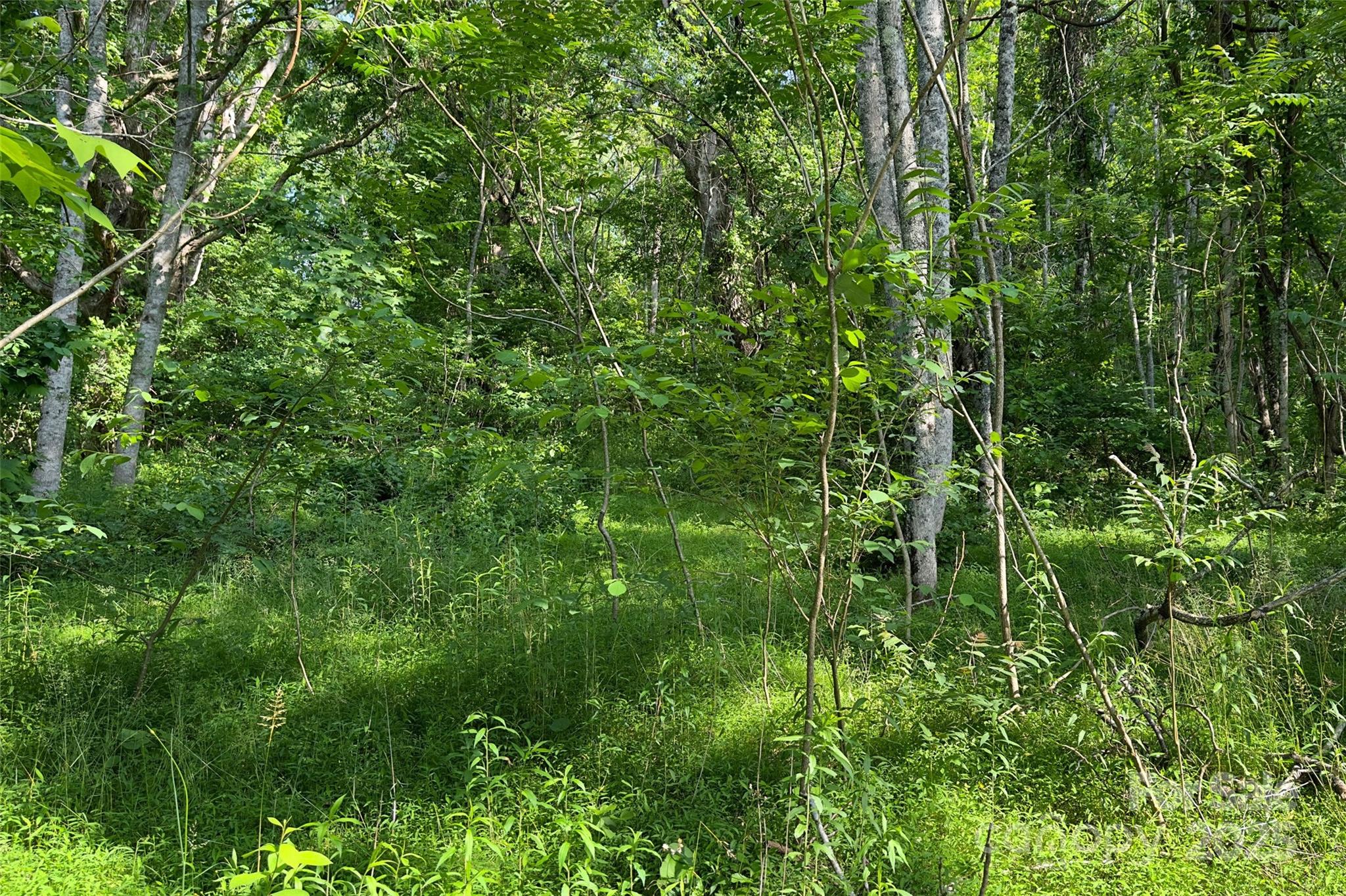 V/l Smith Knolls Road Property Photo 13