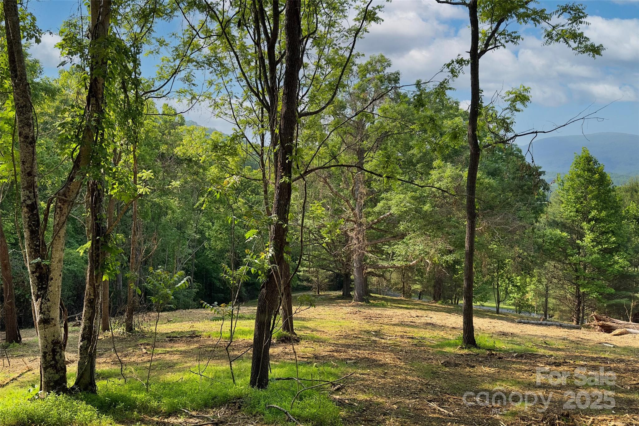 V/l Smith Knolls Road Property Photo 15