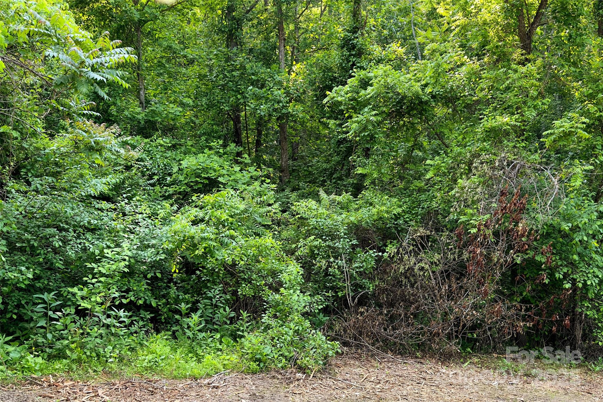 V/l Smith Knolls Road Property Photo 16