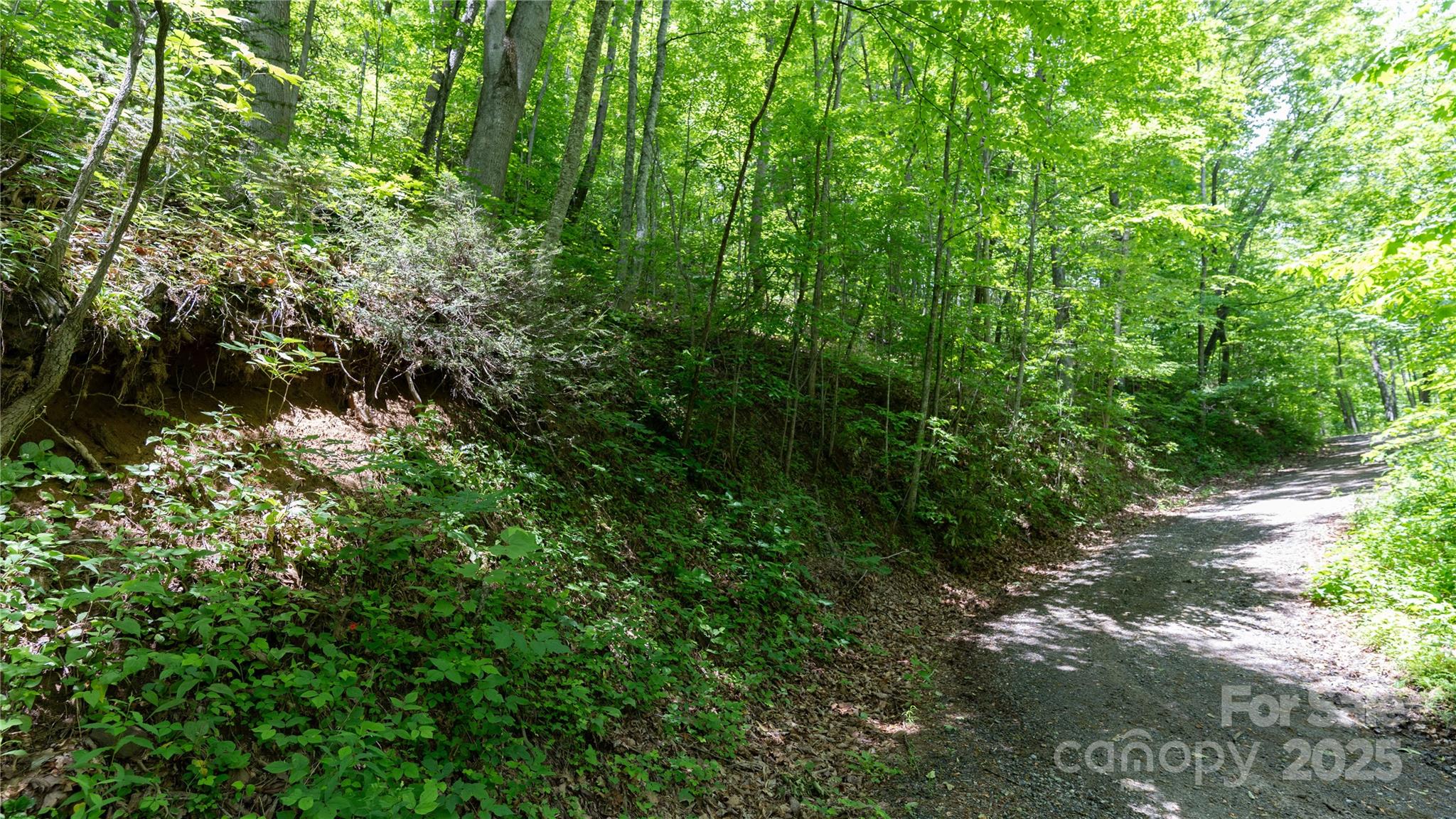 000 Roaring Creek Lane Property Photo 2